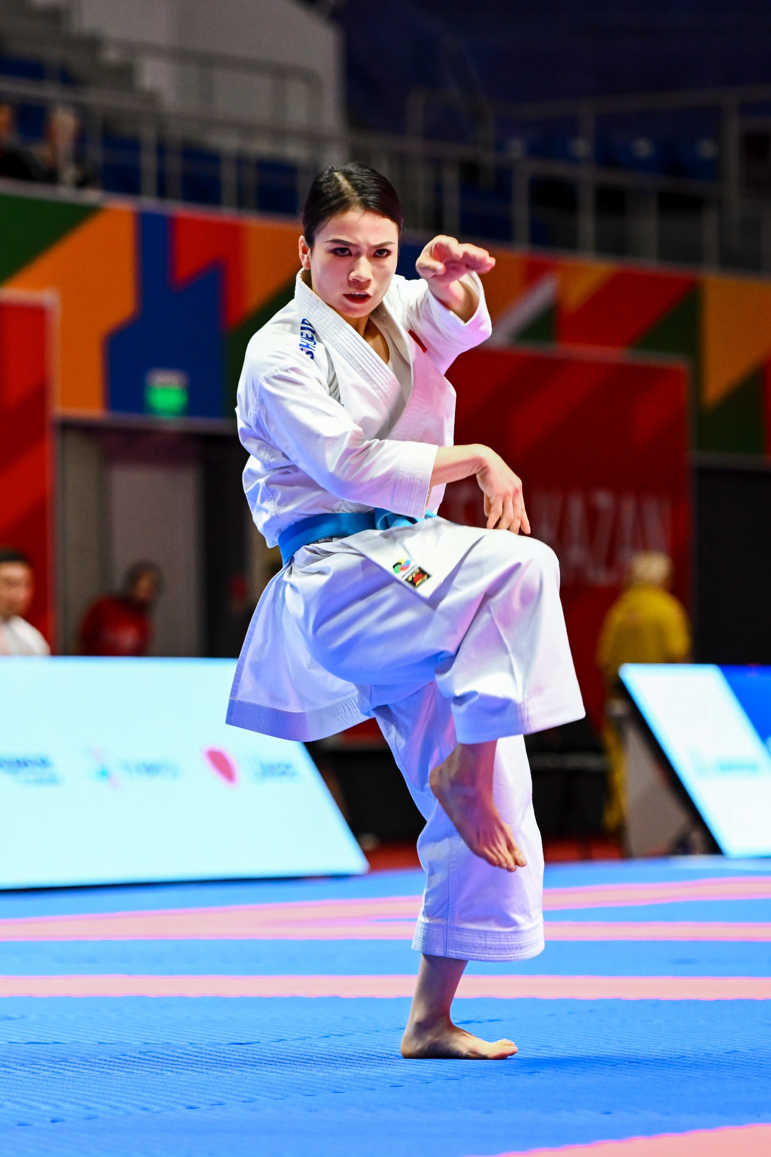 Каратэ «Спортивные игры стран БРИКС». Спортивный и репортажный фотограф в Казани Вячеслав Сатонин