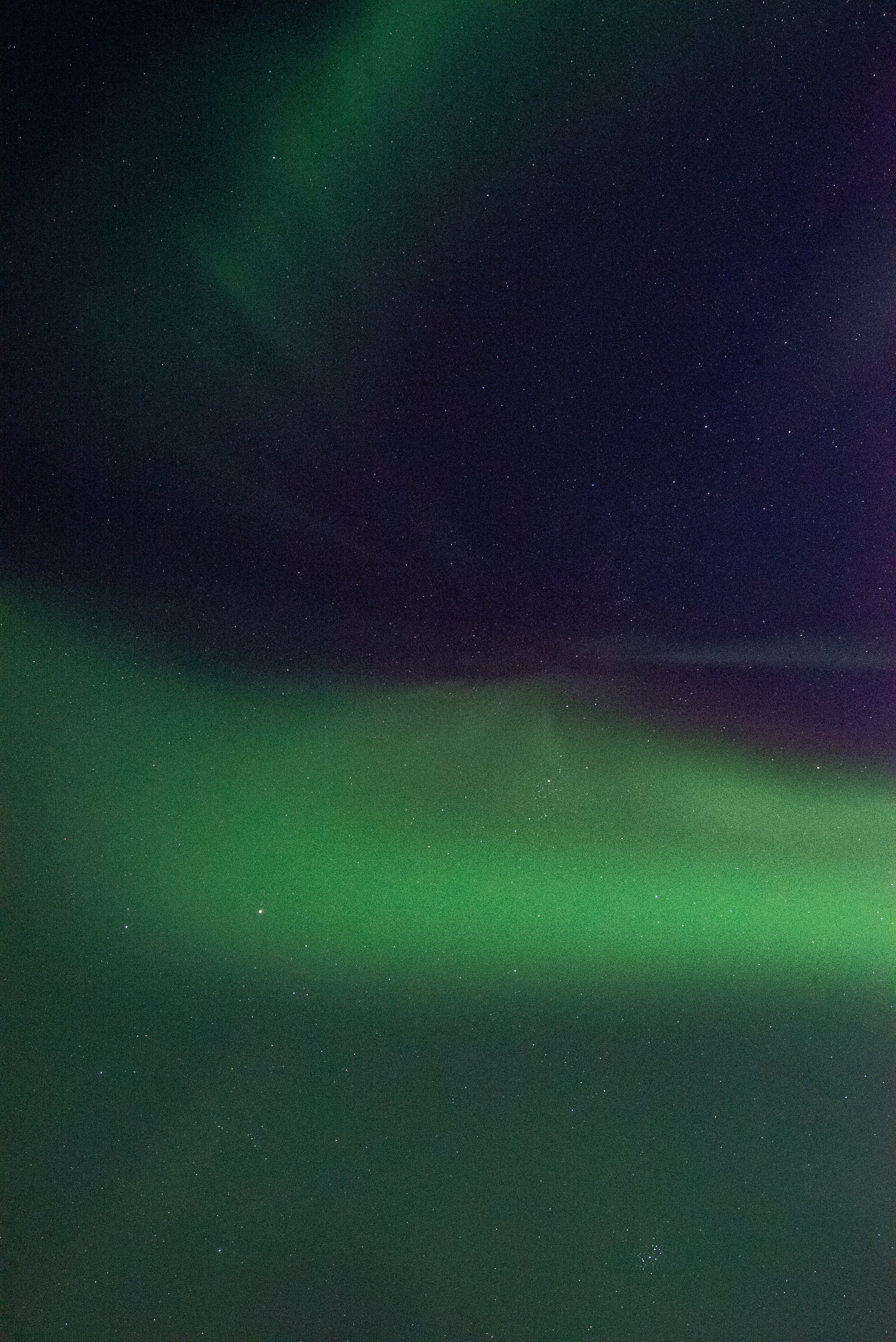 На полярном круге. Семейный и детский фотограф в Санкт-Петербурге Татьяна Дмитренко