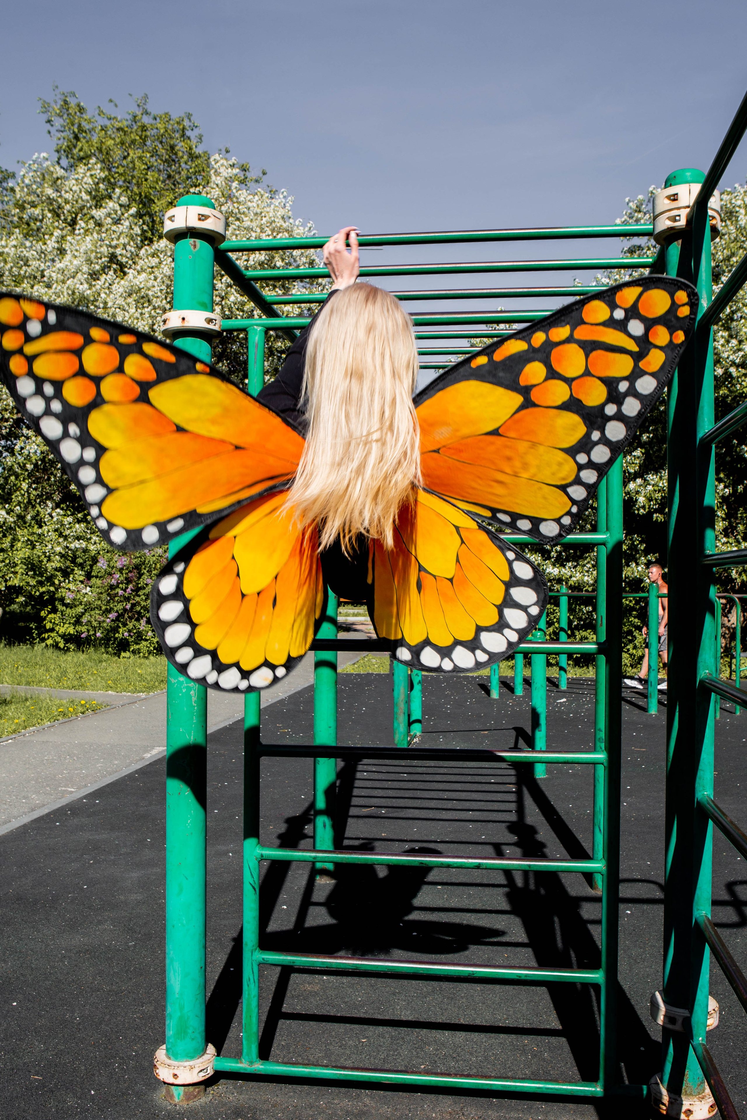 Бабочка. Фотограф Екатерина Голицына