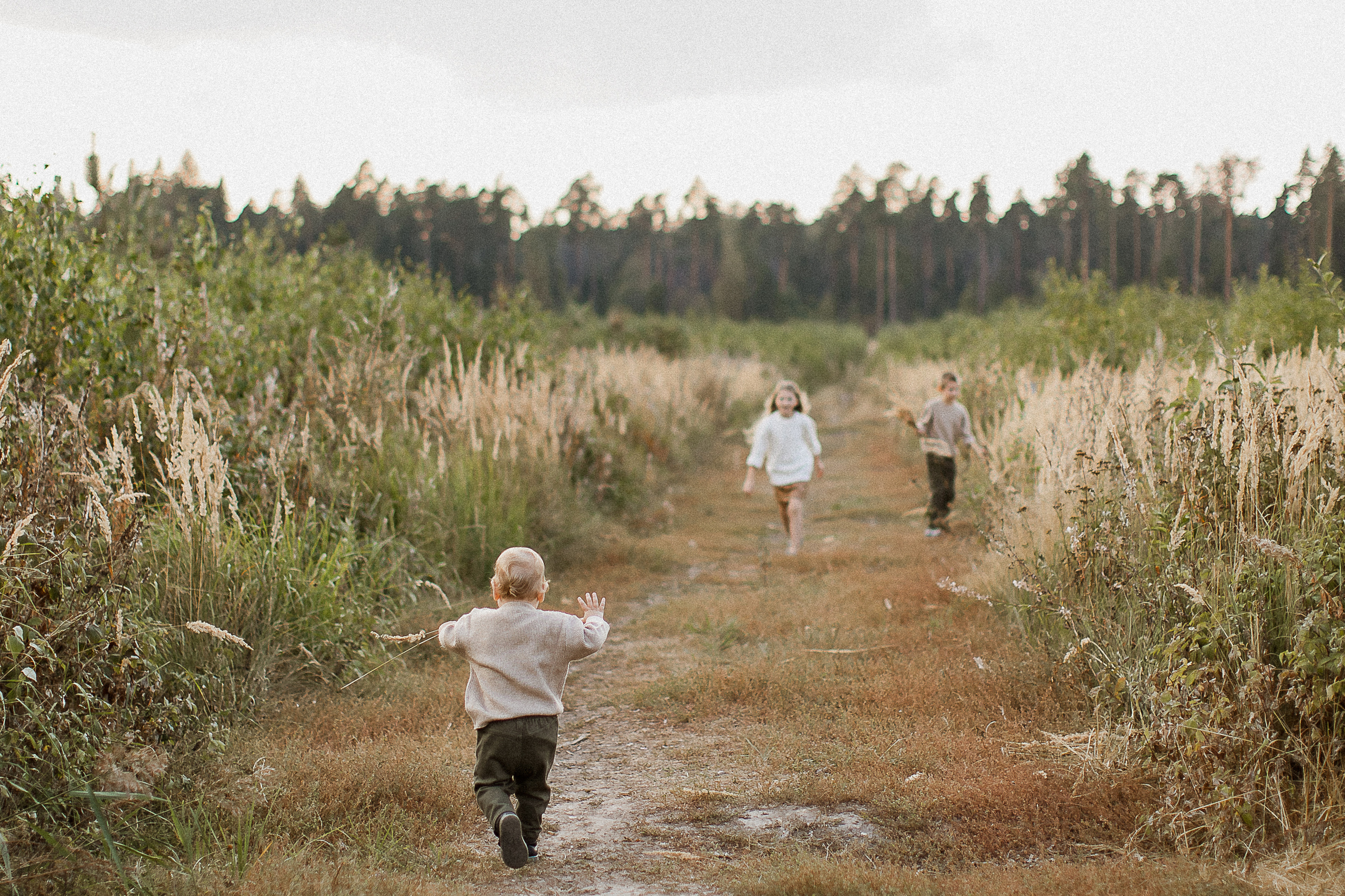 Вика, Ваня, Максим, Саша и кузнечик. Your story in photos