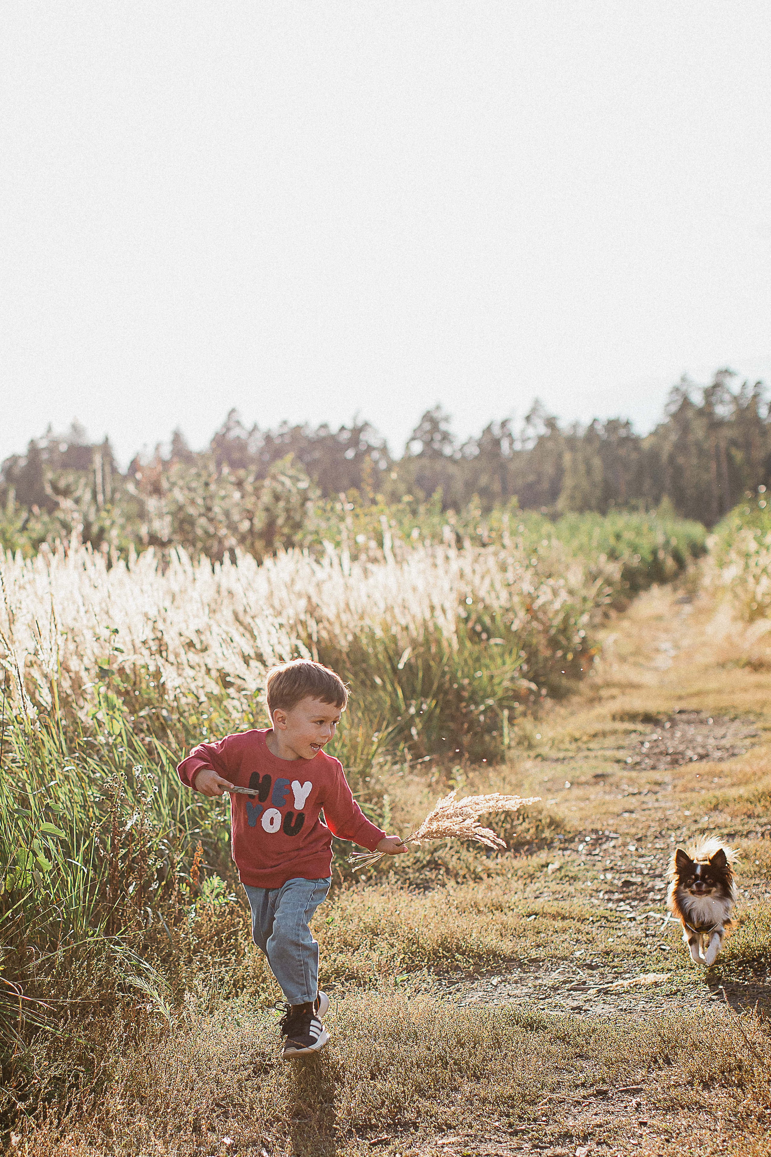 Даша+Женя=Лев и Поля. Your story in photos
