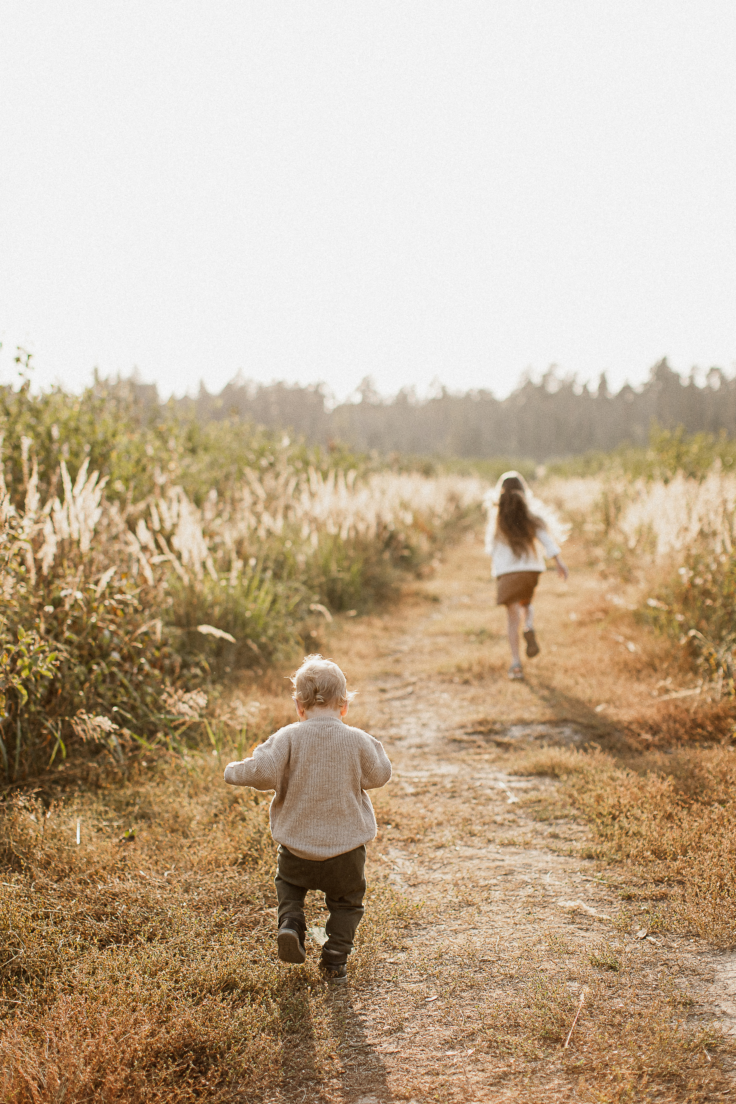Вика, Ваня, Максим, Саша и кузнечик. Your story in photos