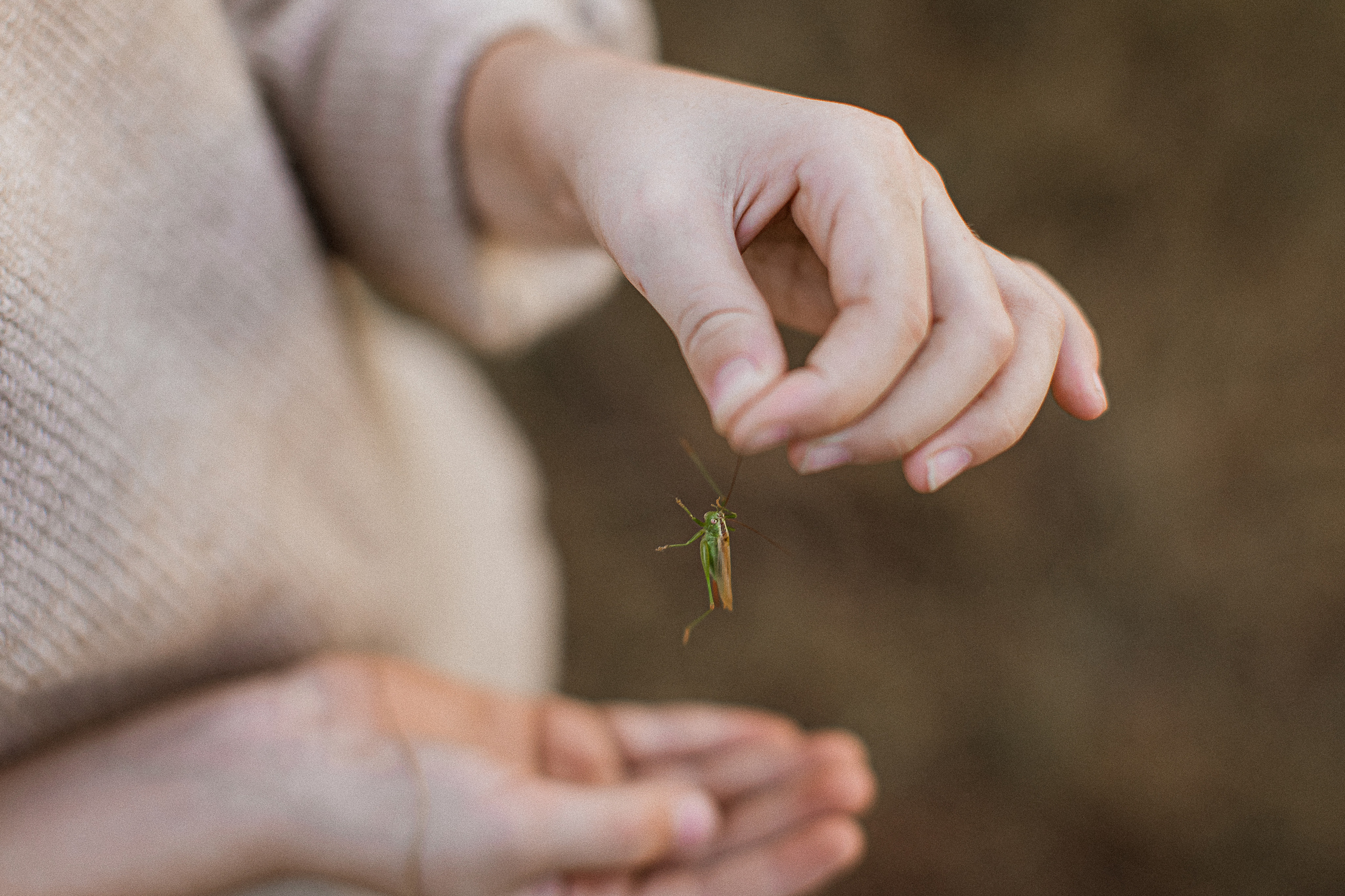 Вика, Ваня, Максим, Саша и кузнечик. Your story in photos