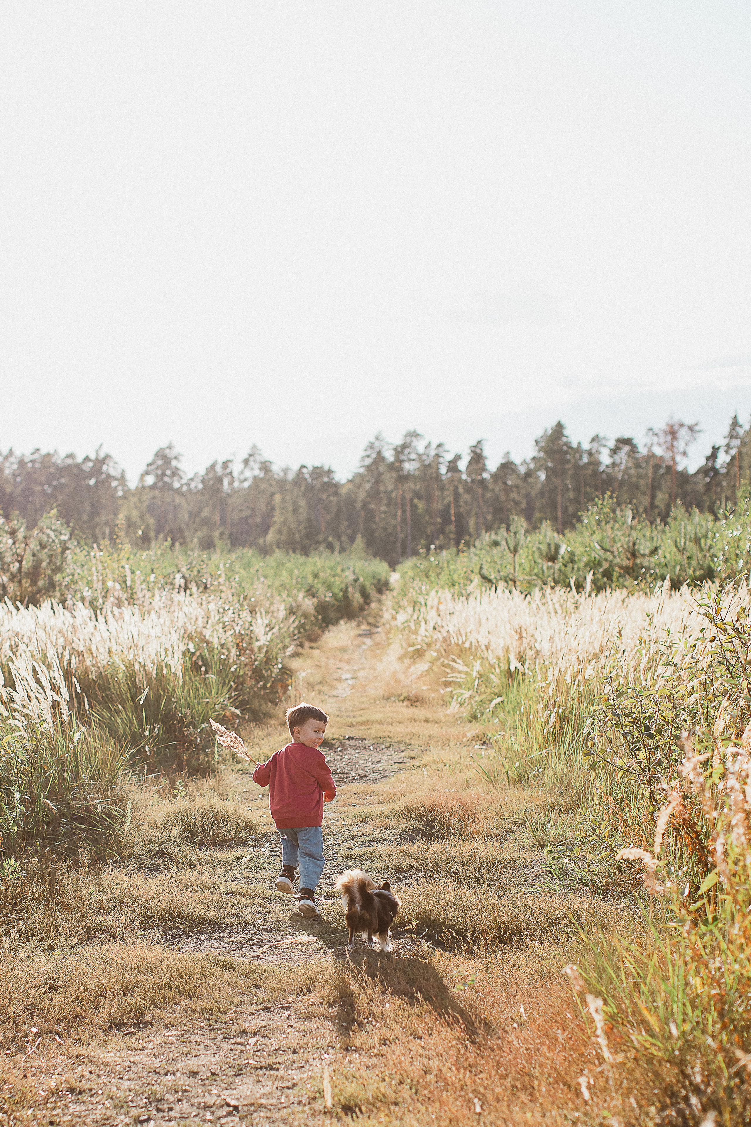 Даша+Женя=Лев и Поля. Your story in photos