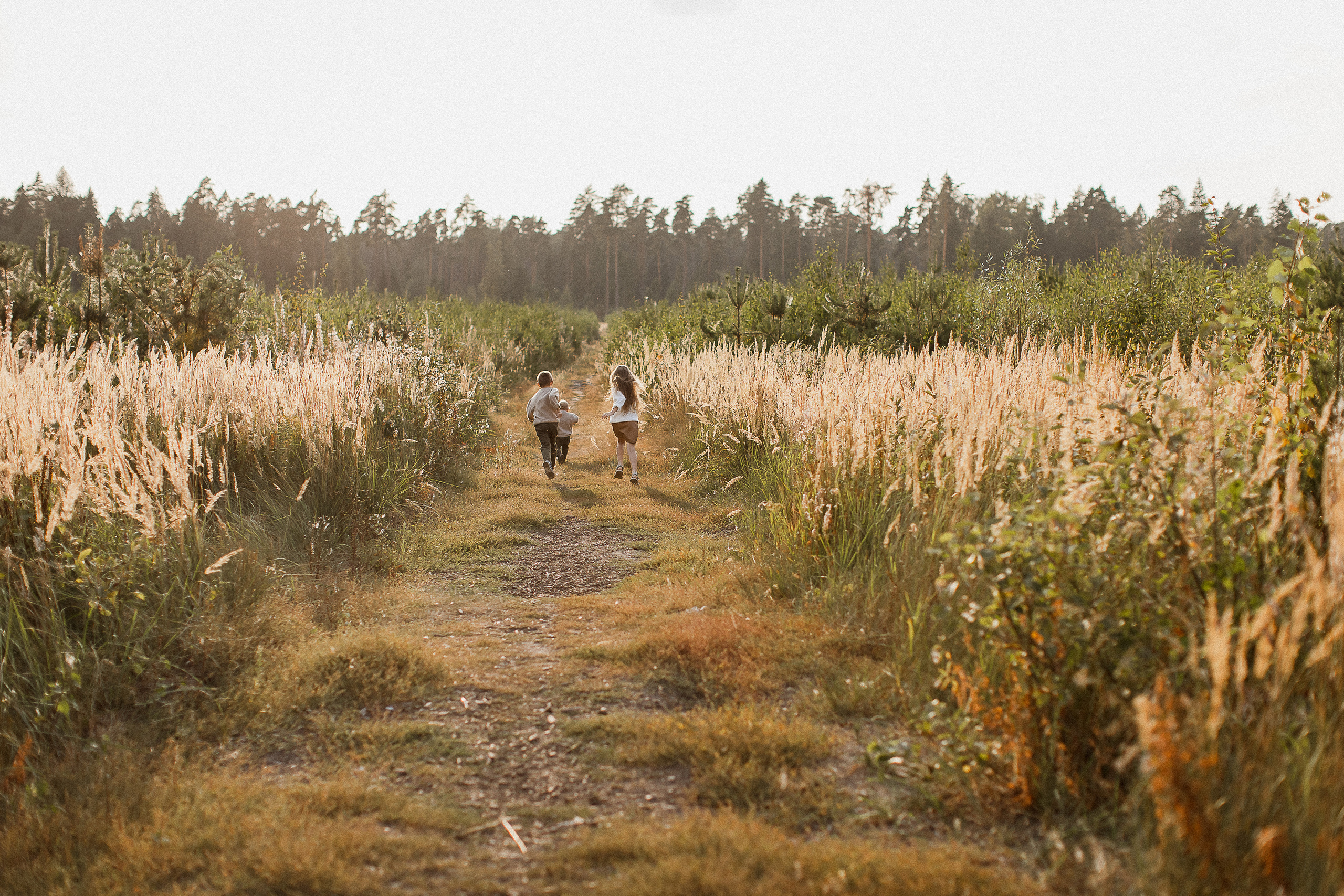 Вика, Ваня, Максим, Саша и кузнечик. Your story in photos