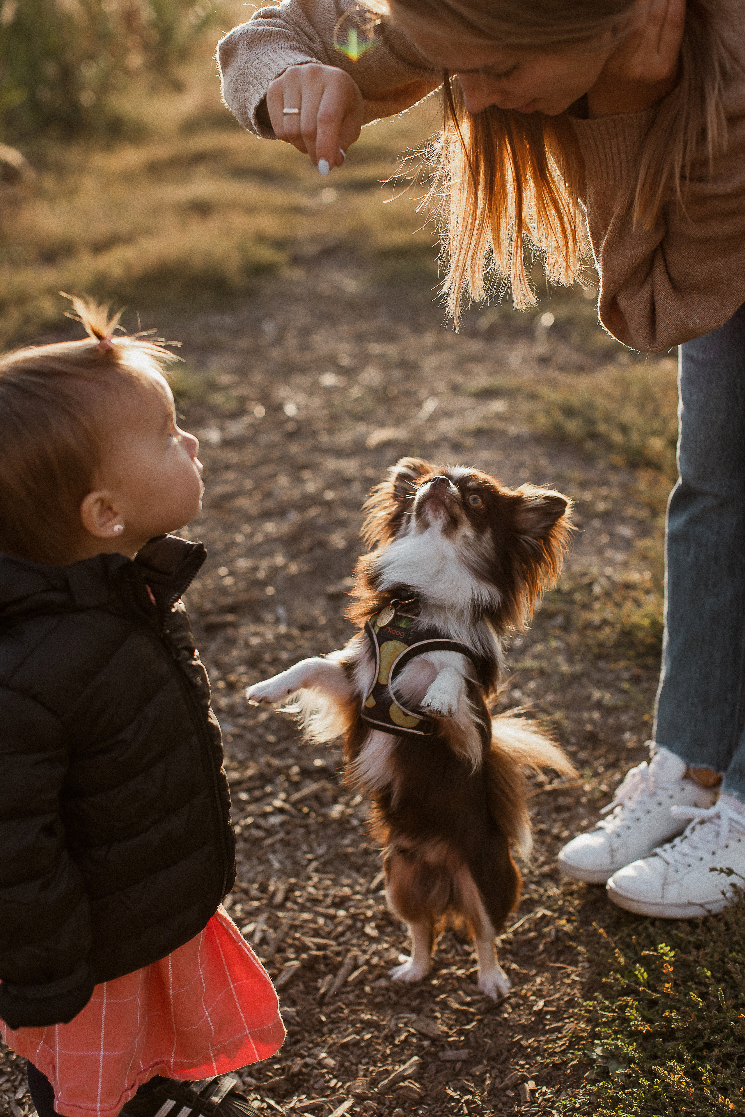 Даша+Женя=Лев и Поля. Your story in photos