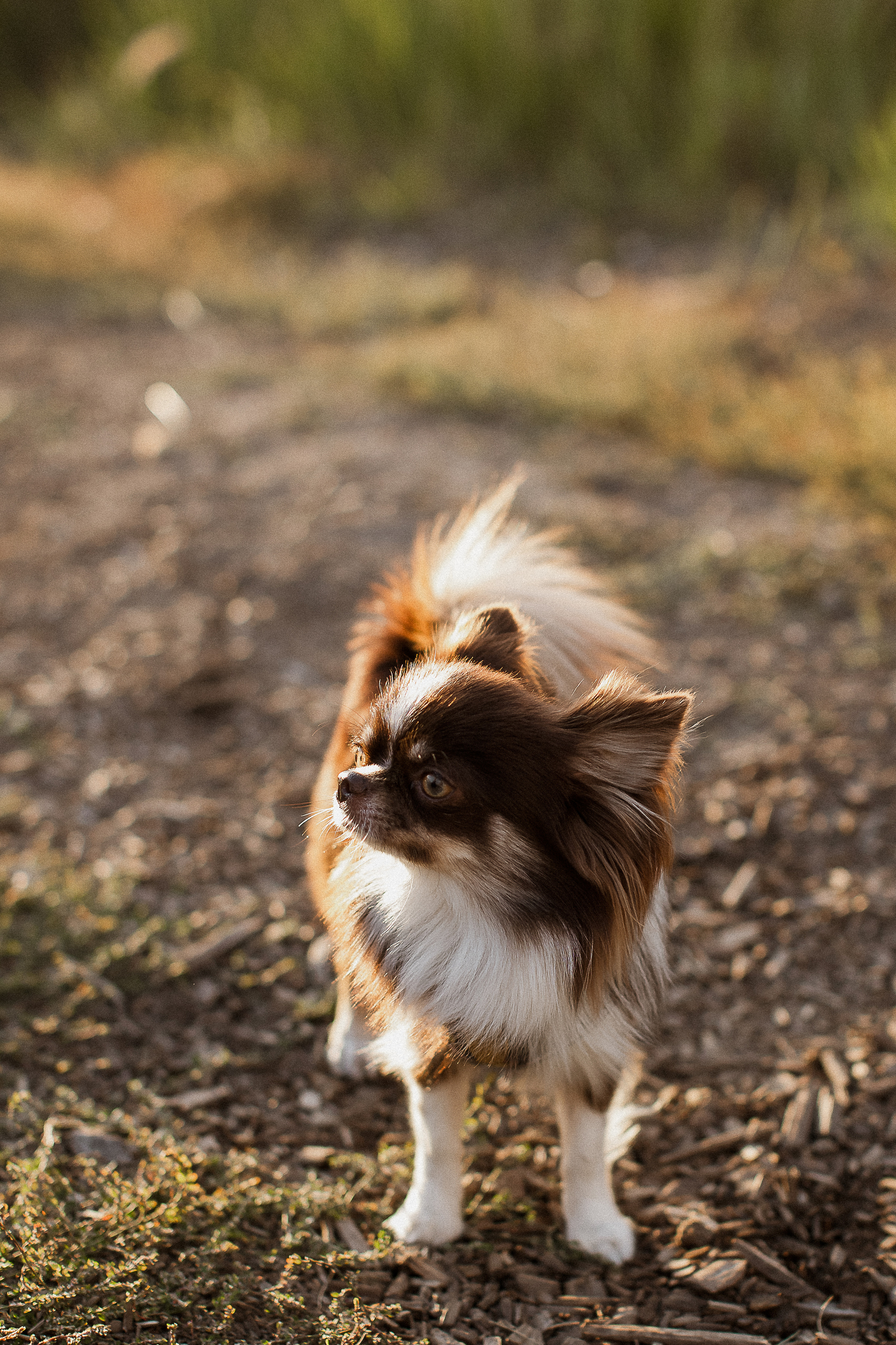 Даша+Женя=Лев и Поля. Your story in photos