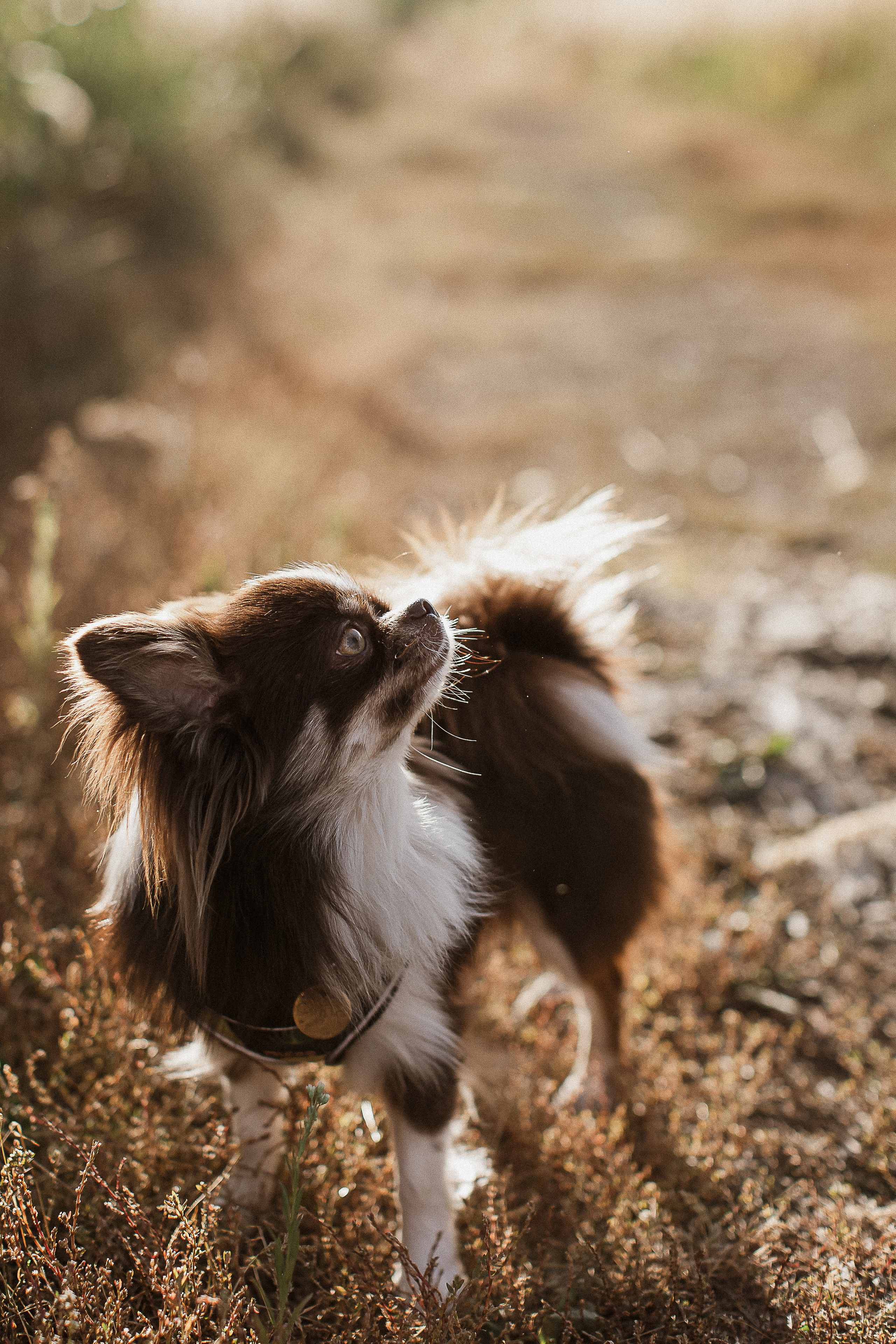 Даша+Женя=Лев и Поля. Your story in photos