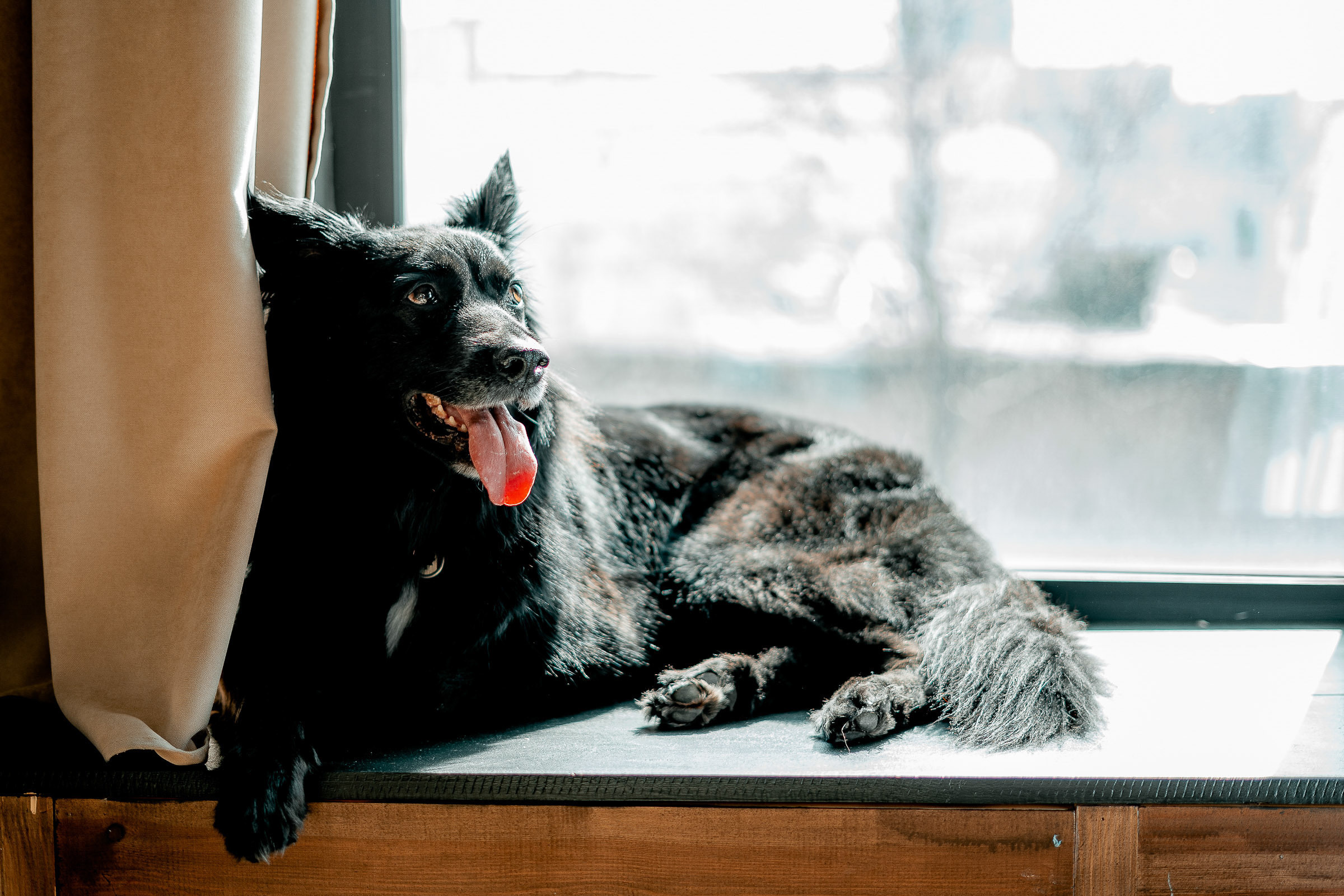 Денис и Александра. Сергей Кошкин. Репортажная и ивент-фотография в Сургуте