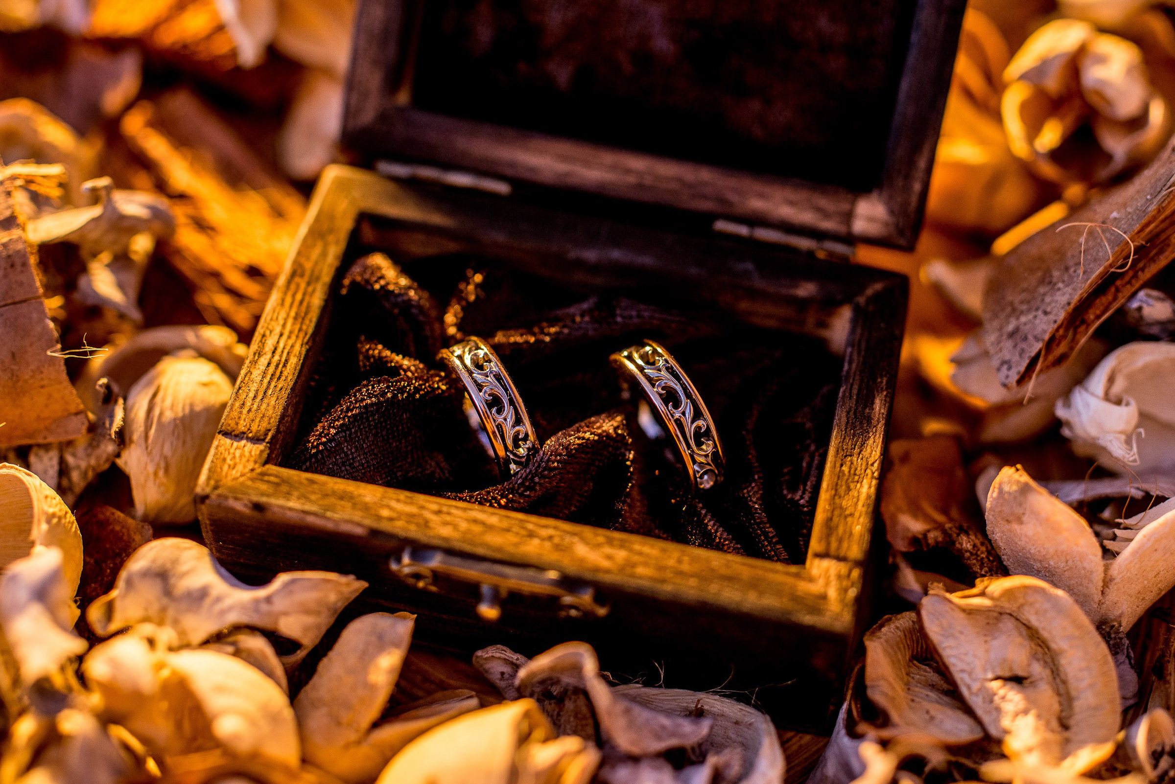 Виталя и Аня. Сергей Кошкин Фотограф