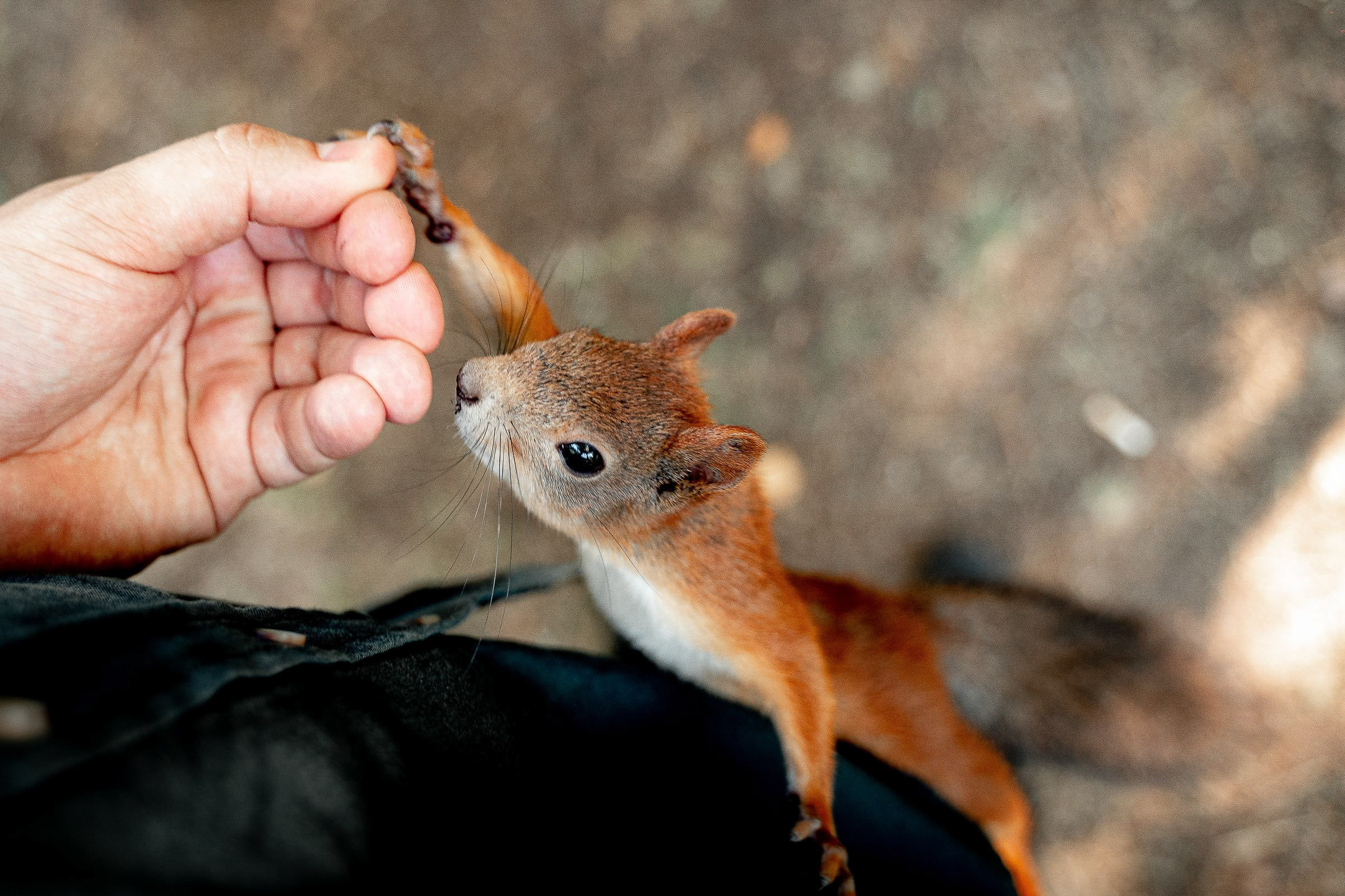 Артём и Таня. Сергей Кошкин. Репортажная и ивент-фотография в Сургуте
