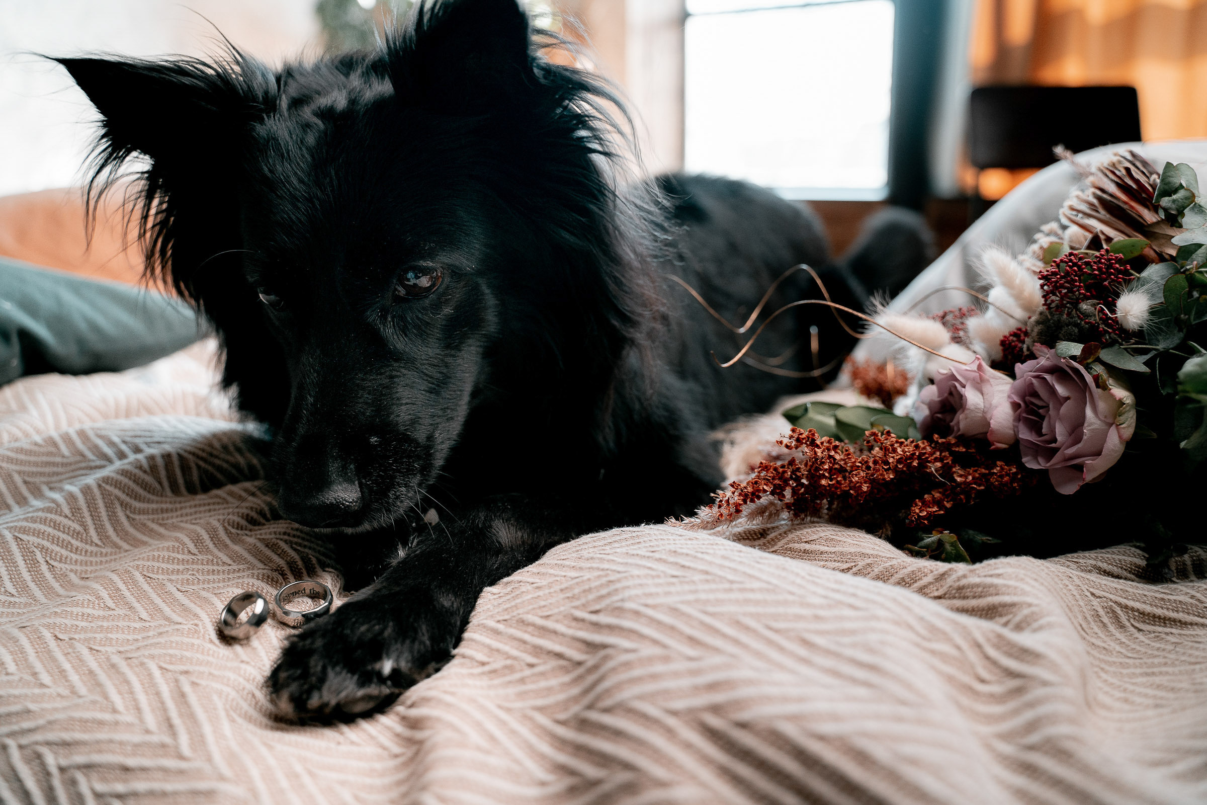 Денис и Александра. Сергей Кошкин. Репортажная и ивент-фотография в Сургуте