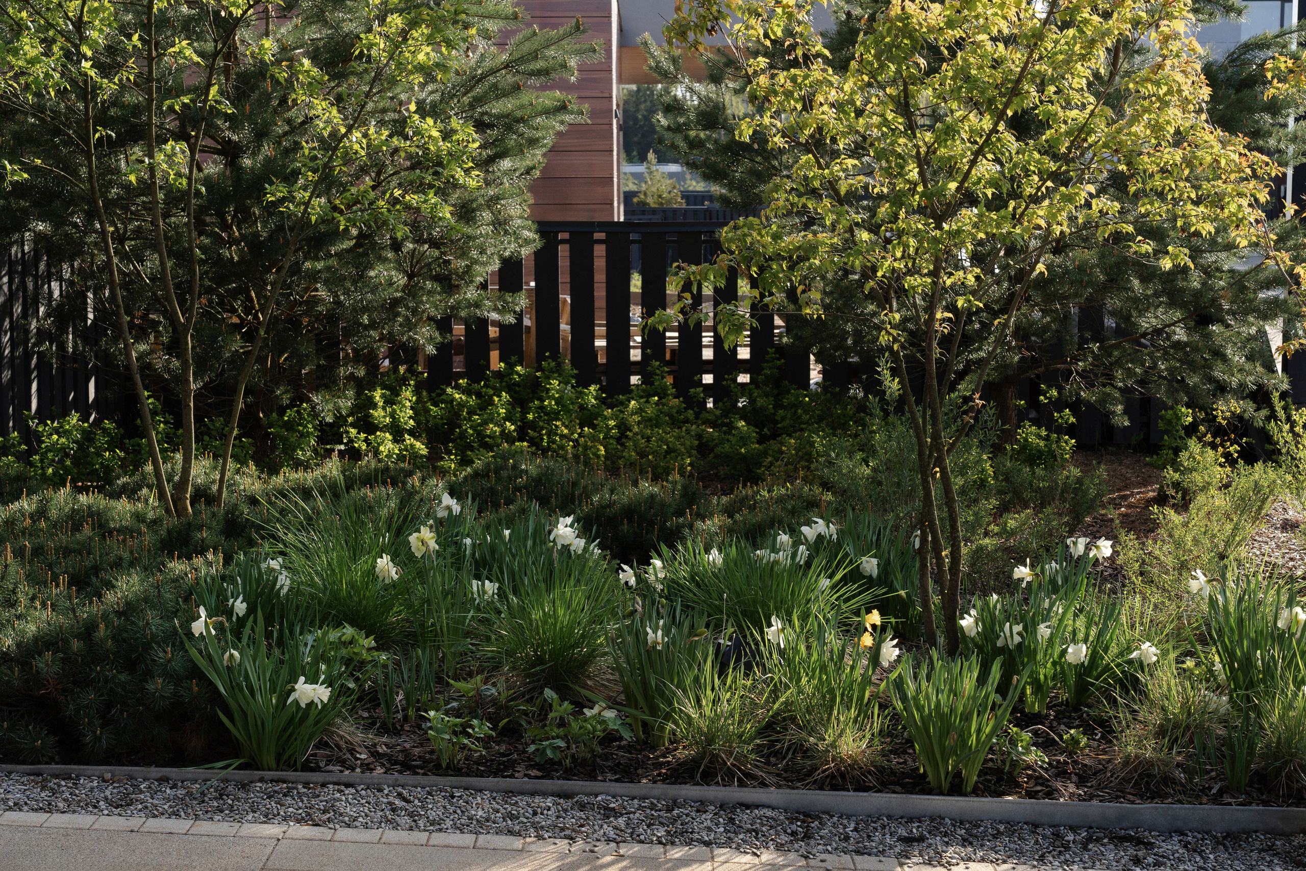 Blooming in the garden, Moscow region. Артамонов Александр | Архитектурный и ландшафтный фотограф