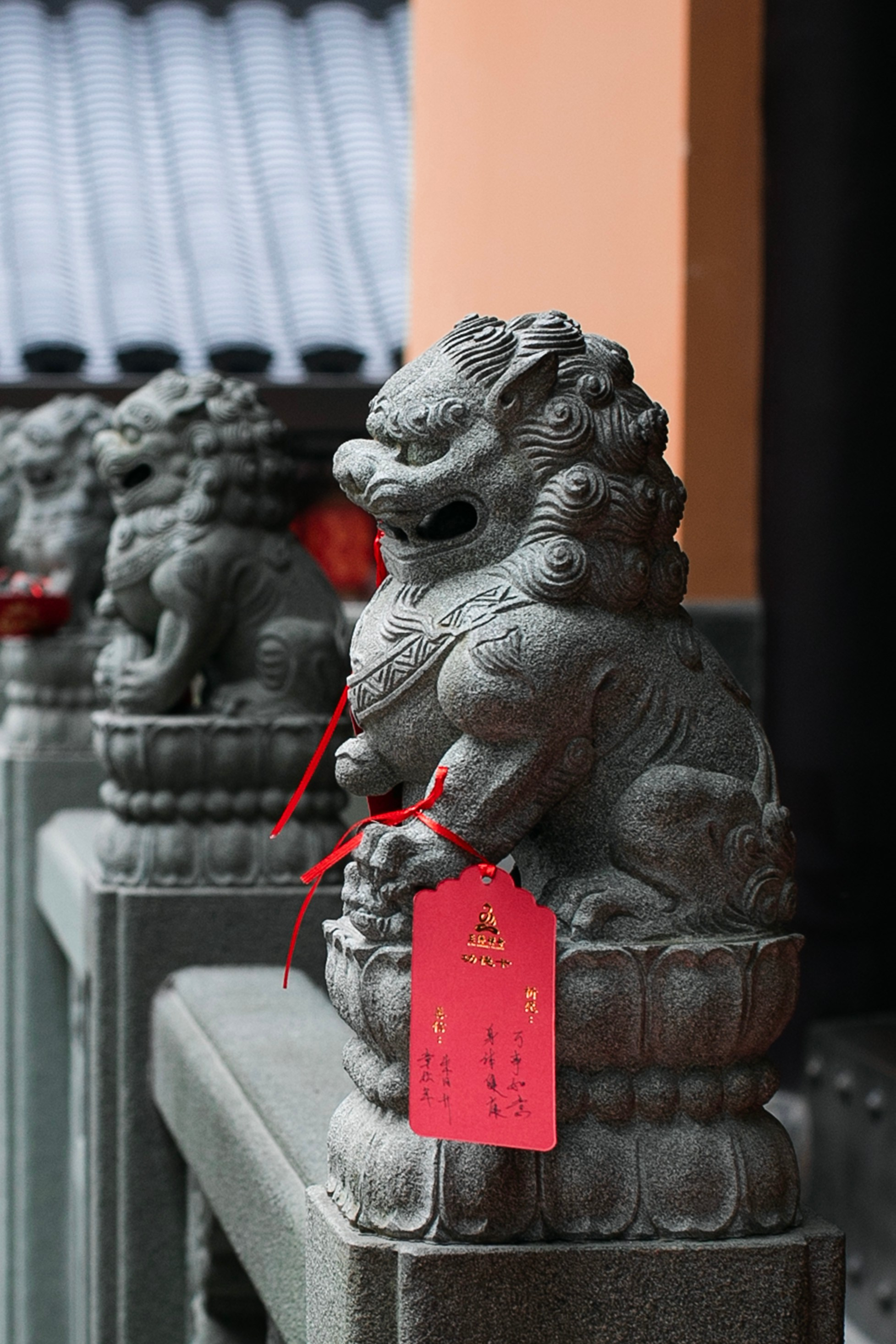 Китай'25: Пекин-Сиань-Шанхай. Фотограф-портретист в Москве