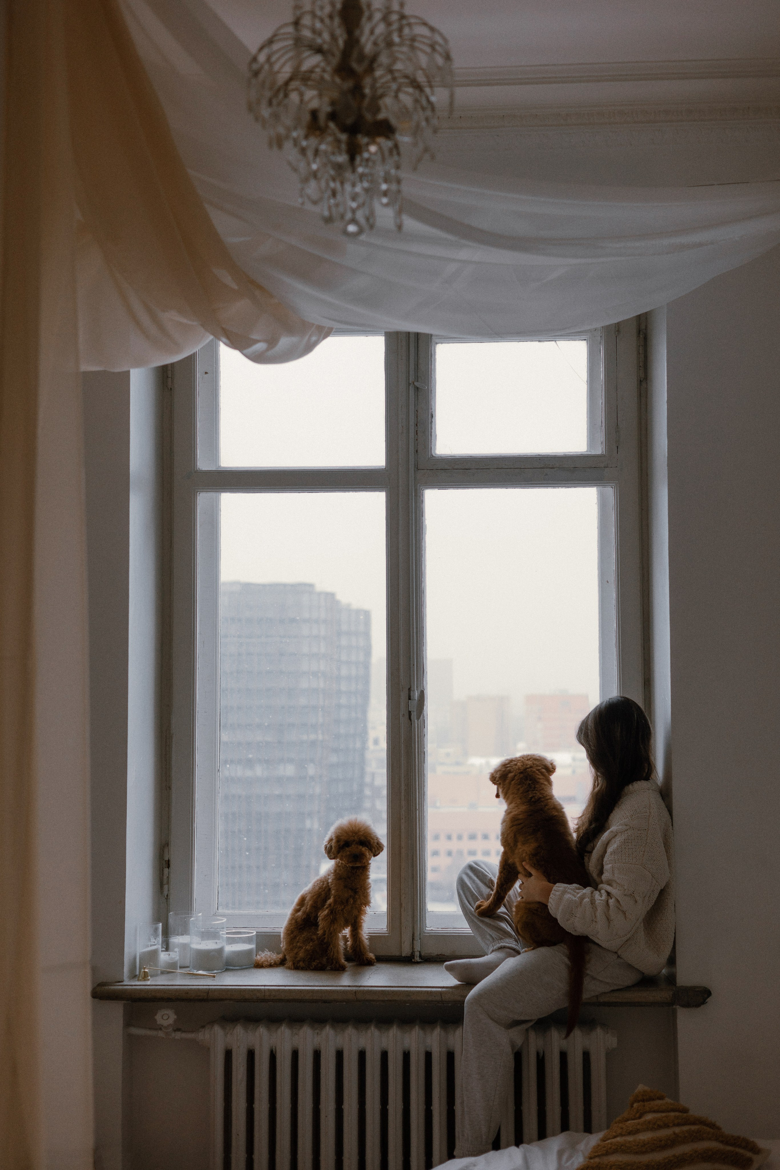 Маша, Одди и Нэвил. Фотограф-анималист Богданова Полина