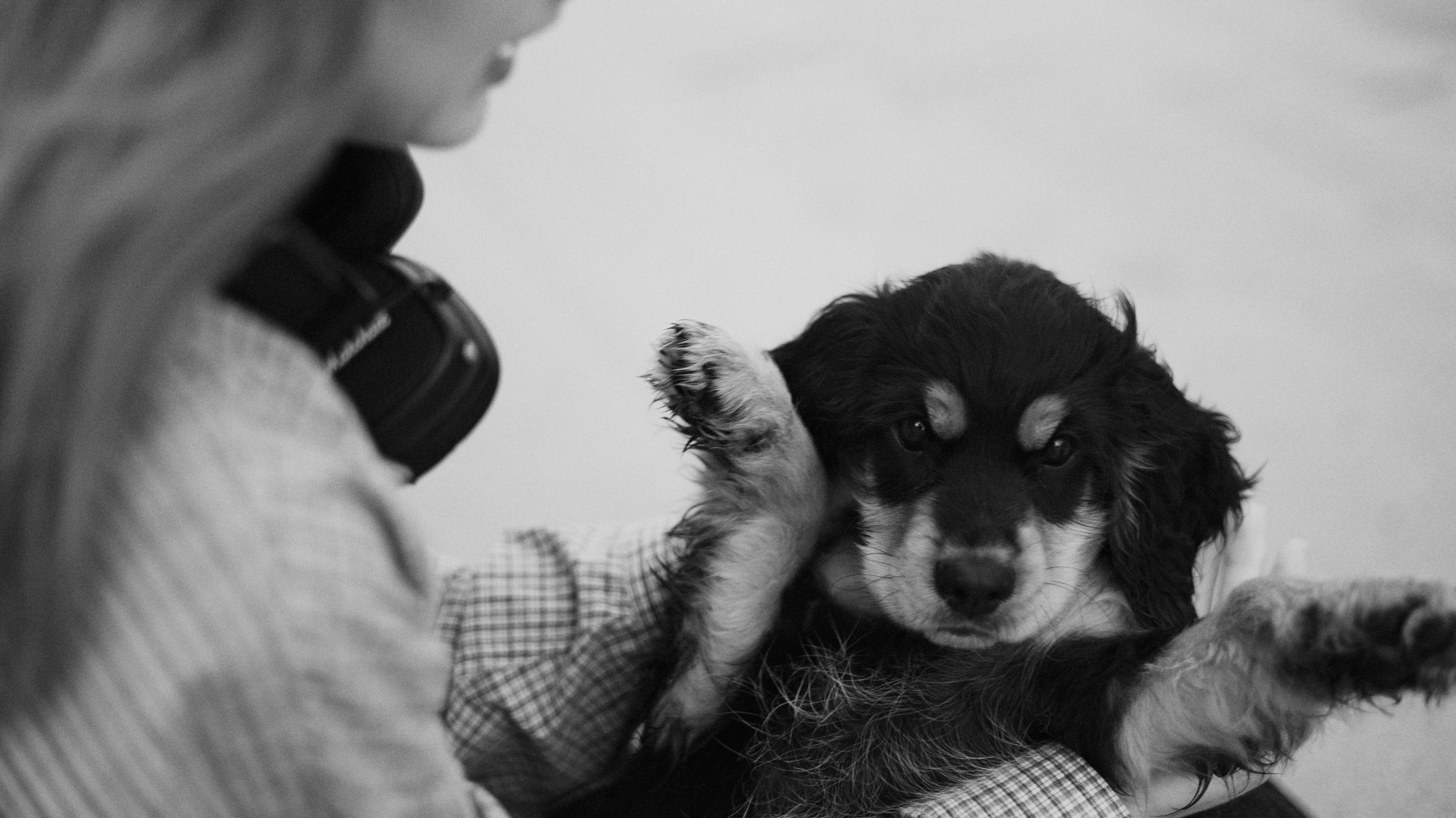 Аня и Ривер. Фотограф-анималист Богданова Полина