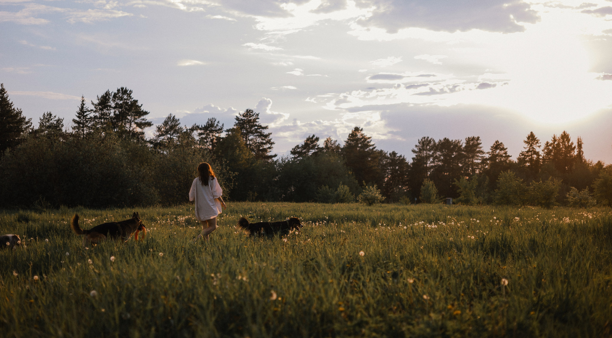 Настя, Шуня, Милка и Тигуан. Фотограф-анималист Богданова Полина