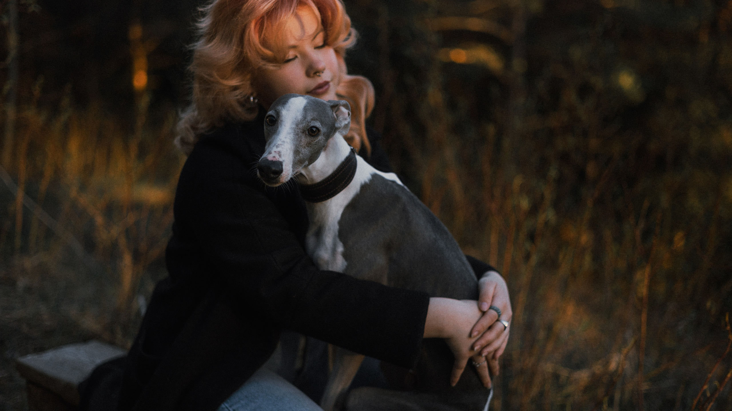 Вика, Джем и Белла. Фотограф-анималист Богданова Полина