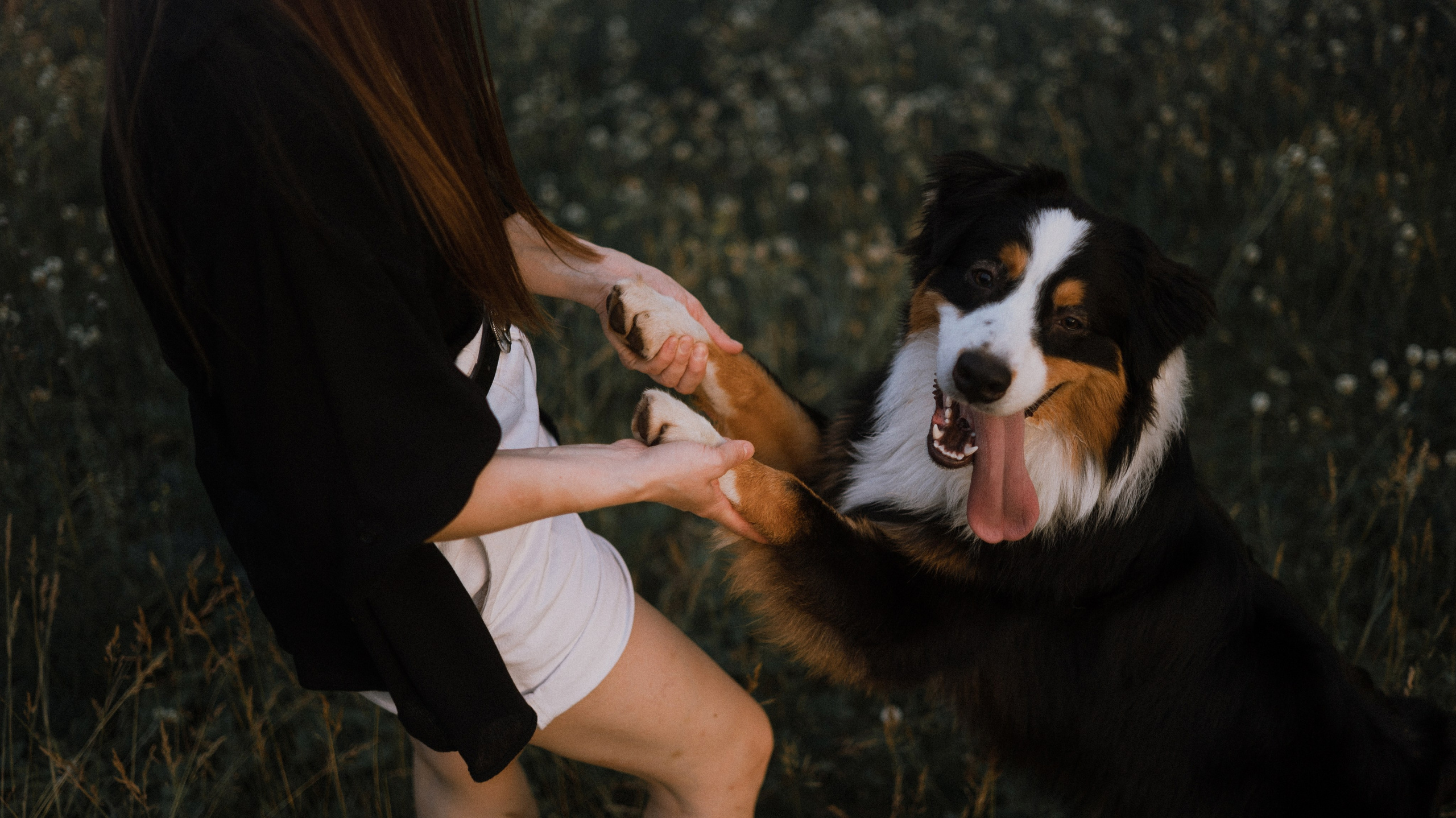 Яна и Уга. Фотограф-анималист Богданова Полина