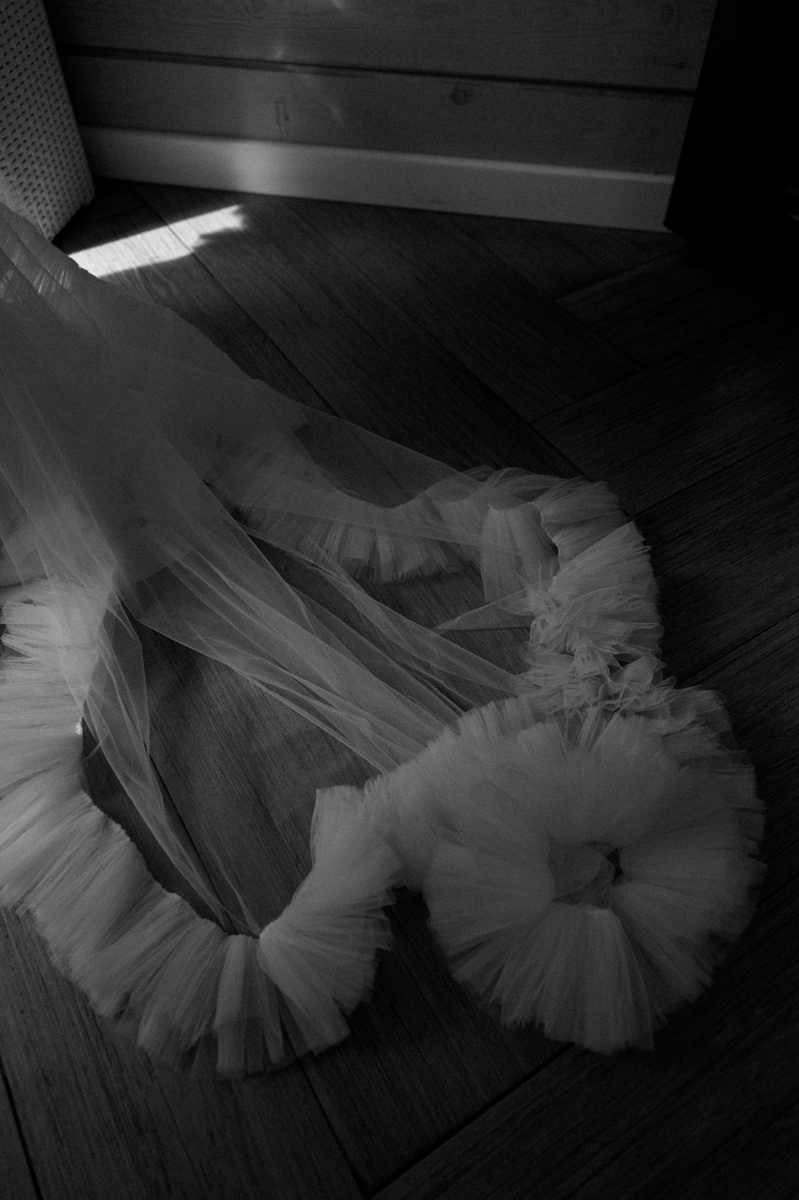 Даниил и Светлана. Свадебный и семейный фотограф в Новосибирске Наталья Зорина