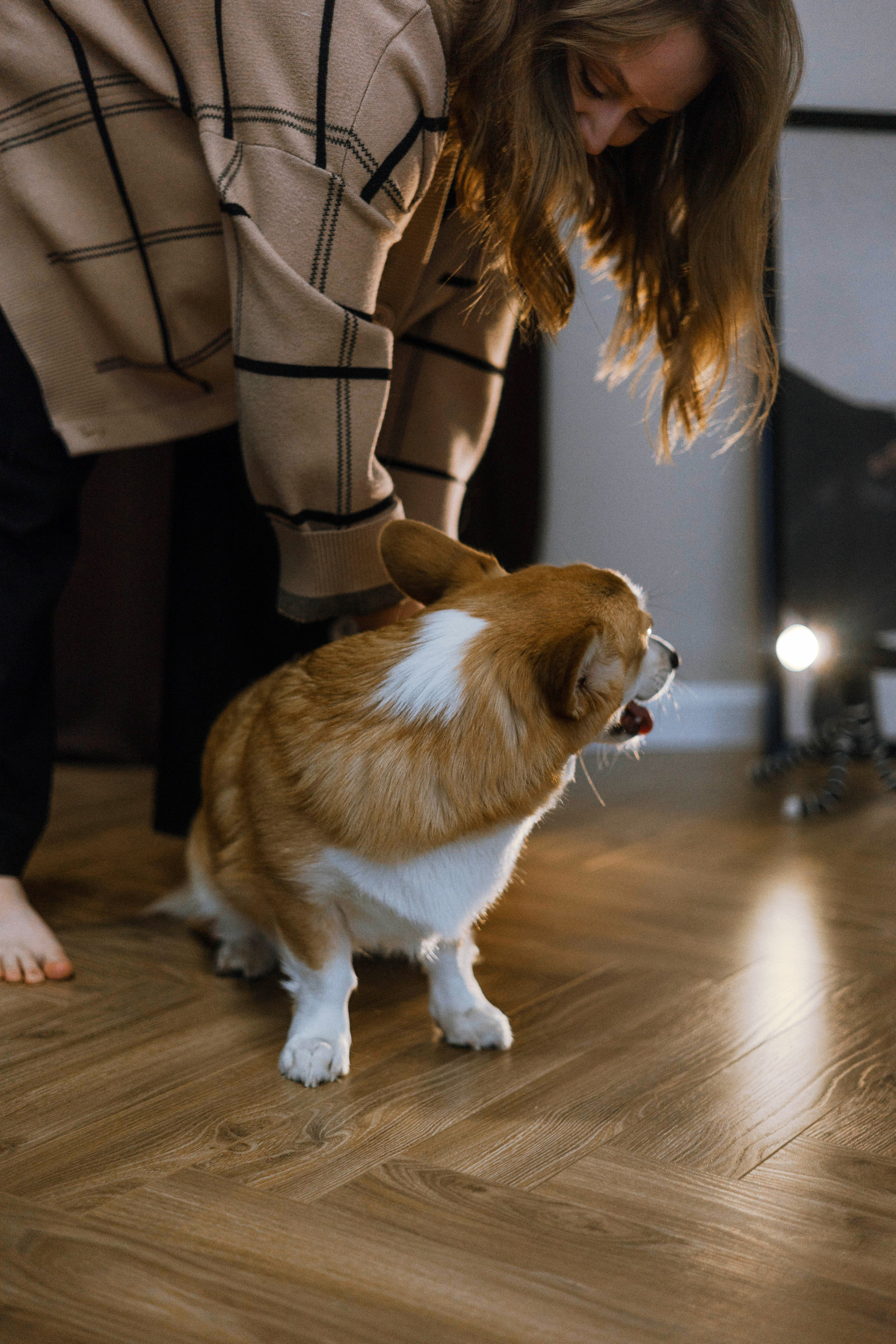 Настя и Мия. Фотограф-анималист Богданова Полина