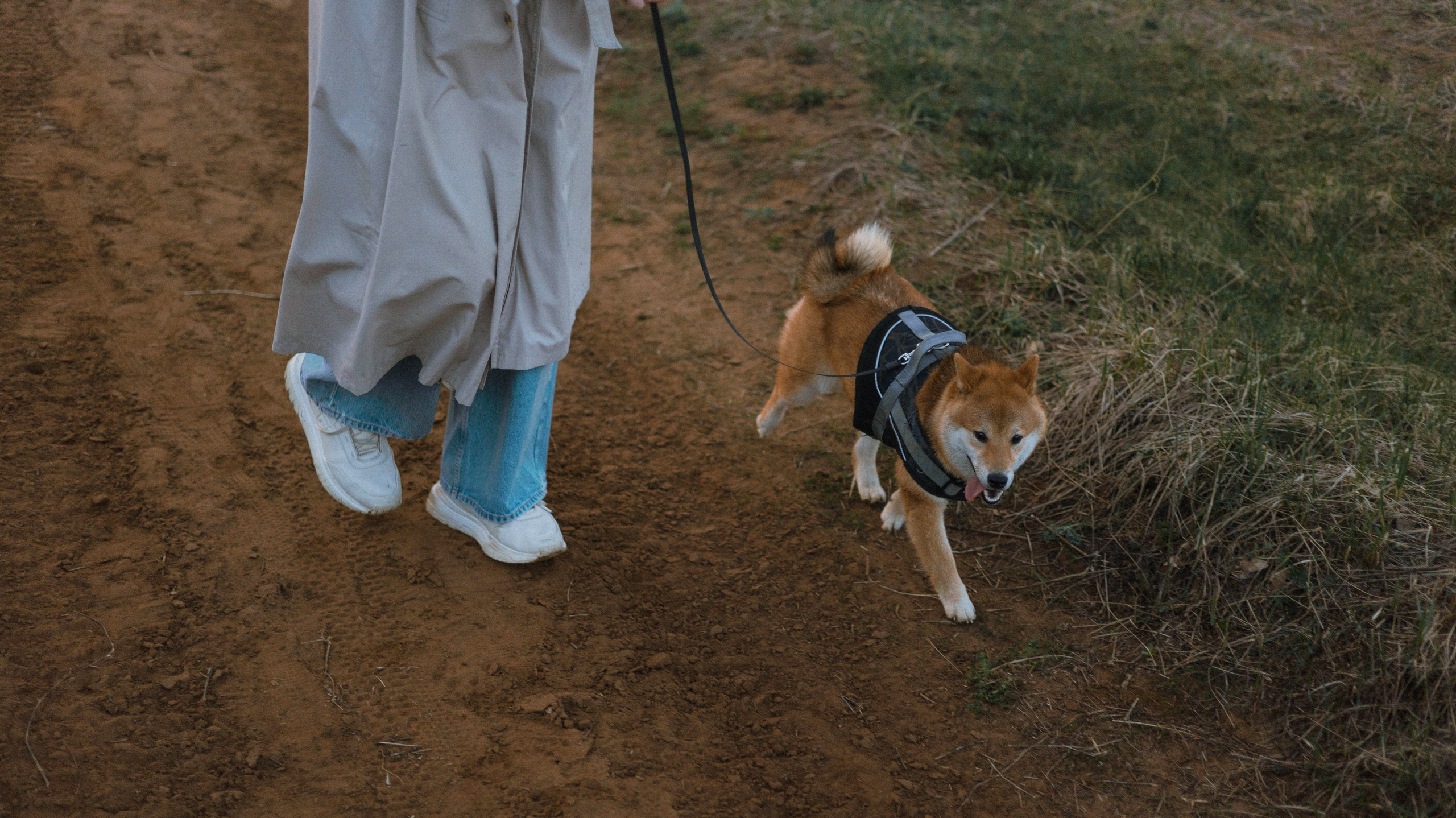 Аня и Шани. Фотограф-анималист Богданова Полина