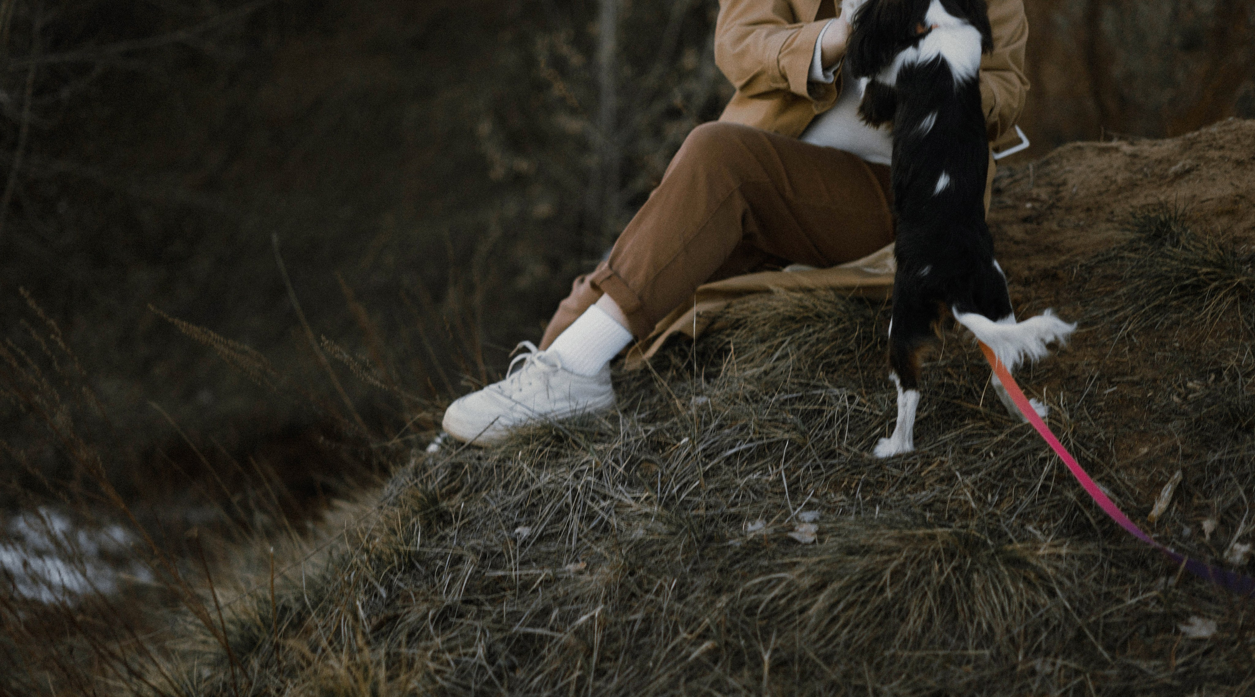 Ангелина и Йен. Фотограф-анималист Богданова Полина