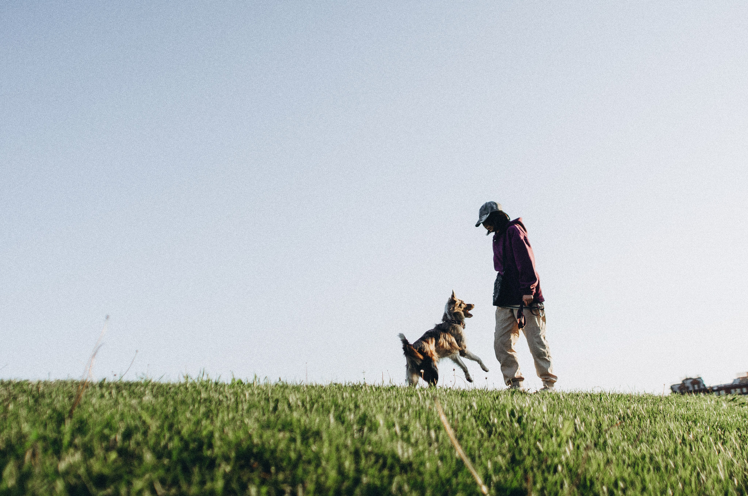 Аня и Дэймон. Фотограф-анималист Богданова Полина