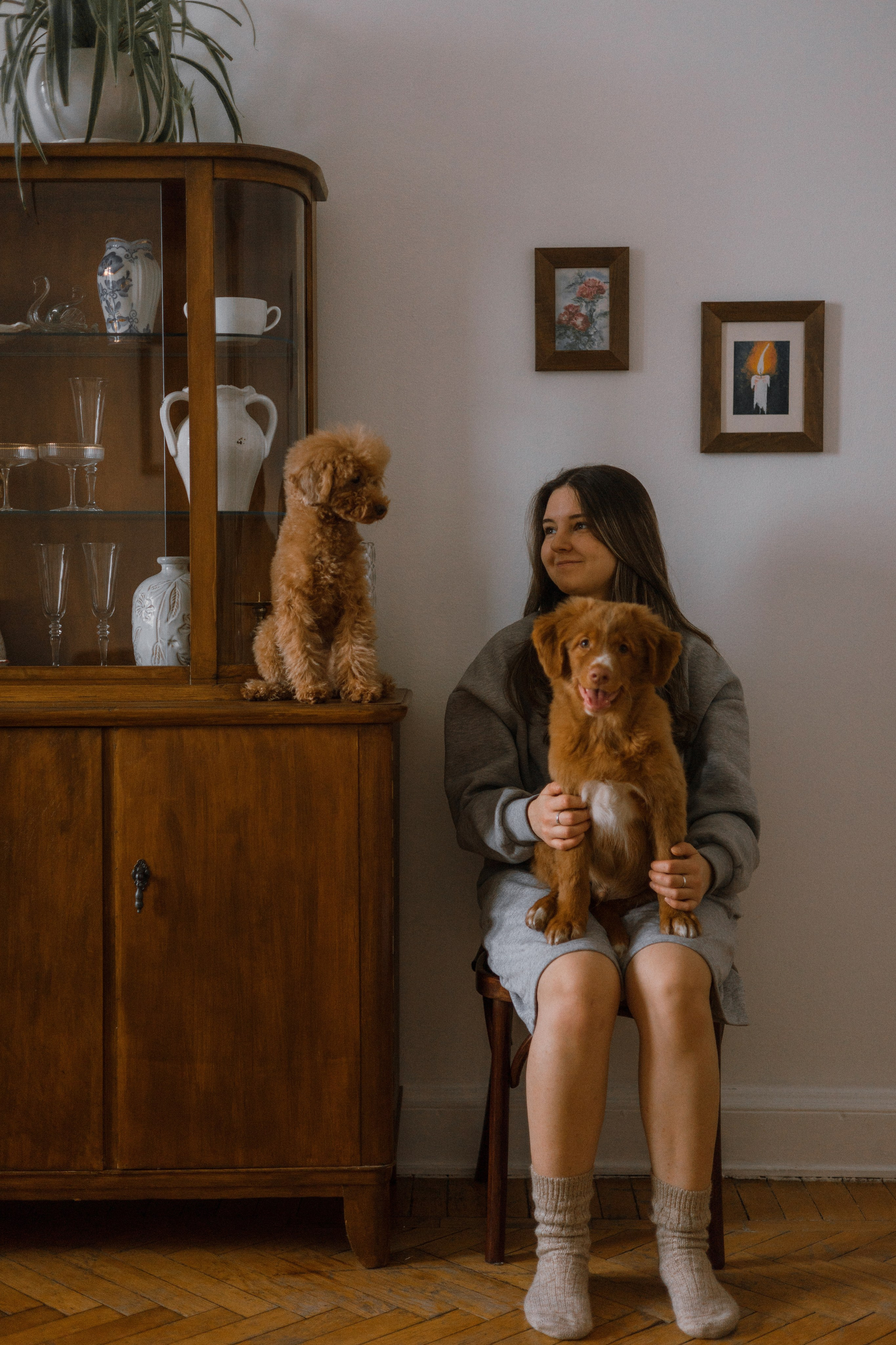 Маша, Одди и Нэвил. Фотограф-анималист Богданова Полина