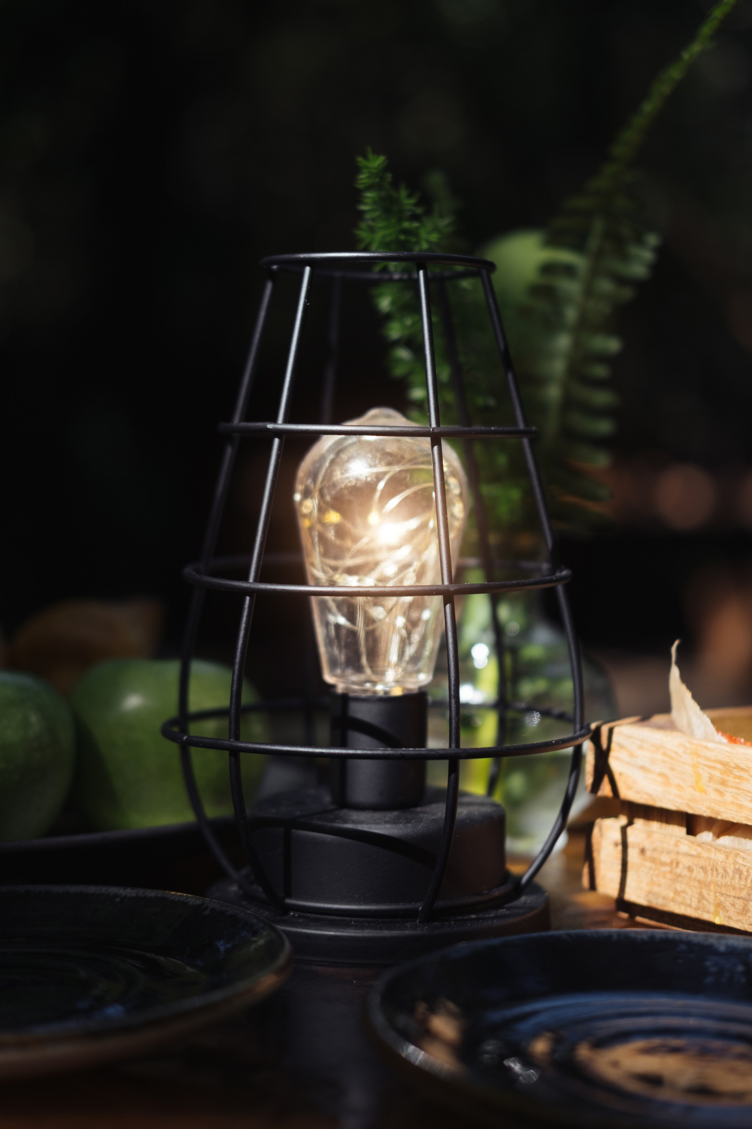 Кот и Дракон. Свадебный Видеограф Фотограф в Сочи