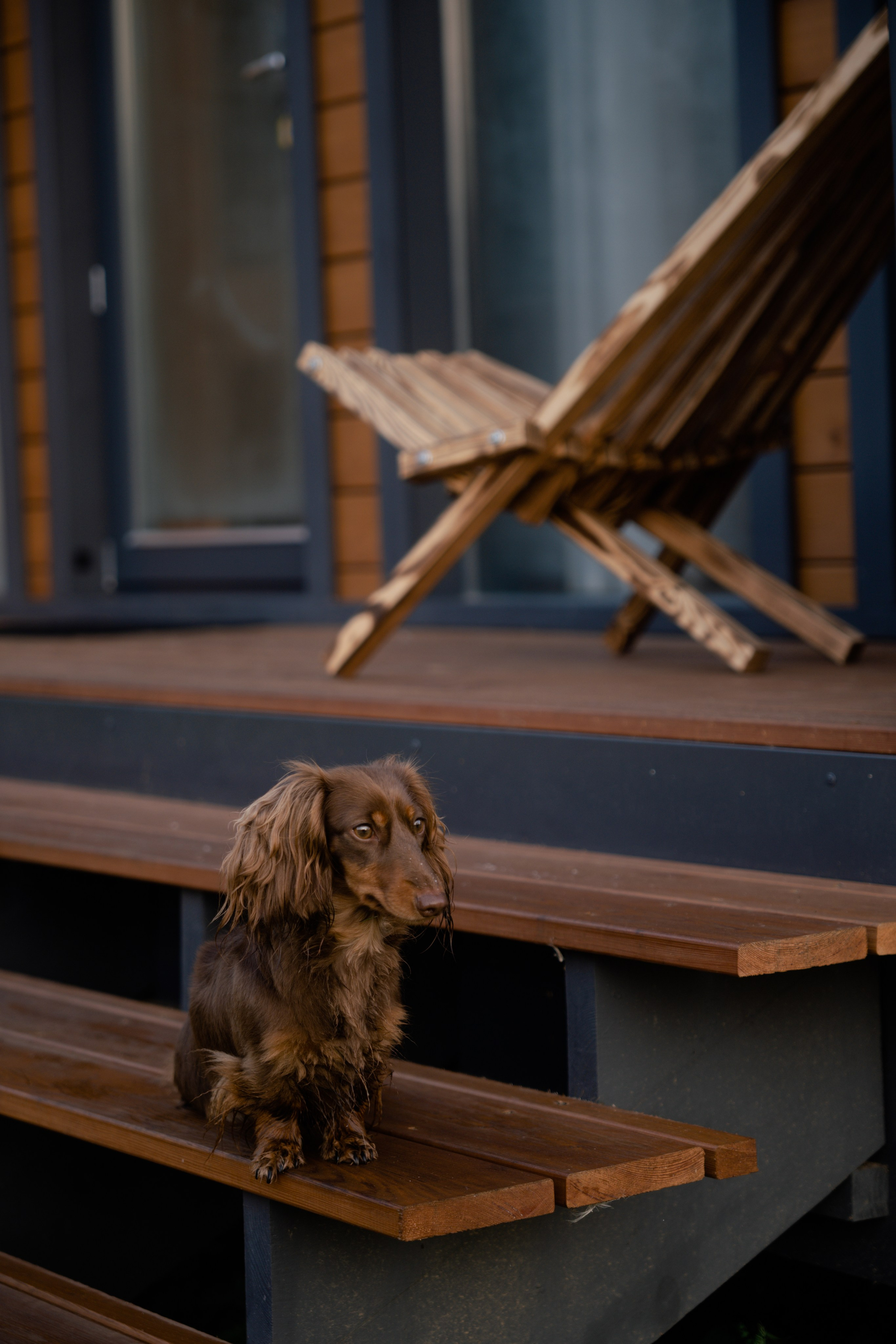 База отдыха. Фотограф и видеограф Мария Банщикова, Солнечногорск, Москва