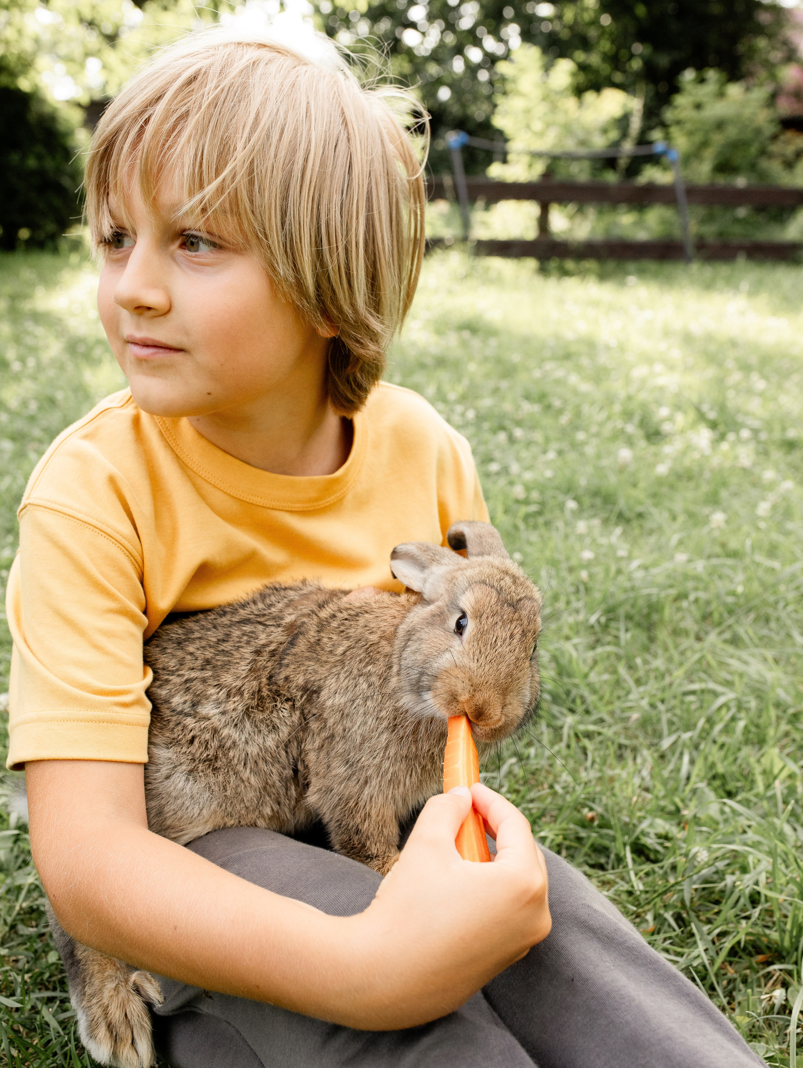 Кролики 2023. Семейный фотограф в Санкт-Петербурге Ирина Иванова