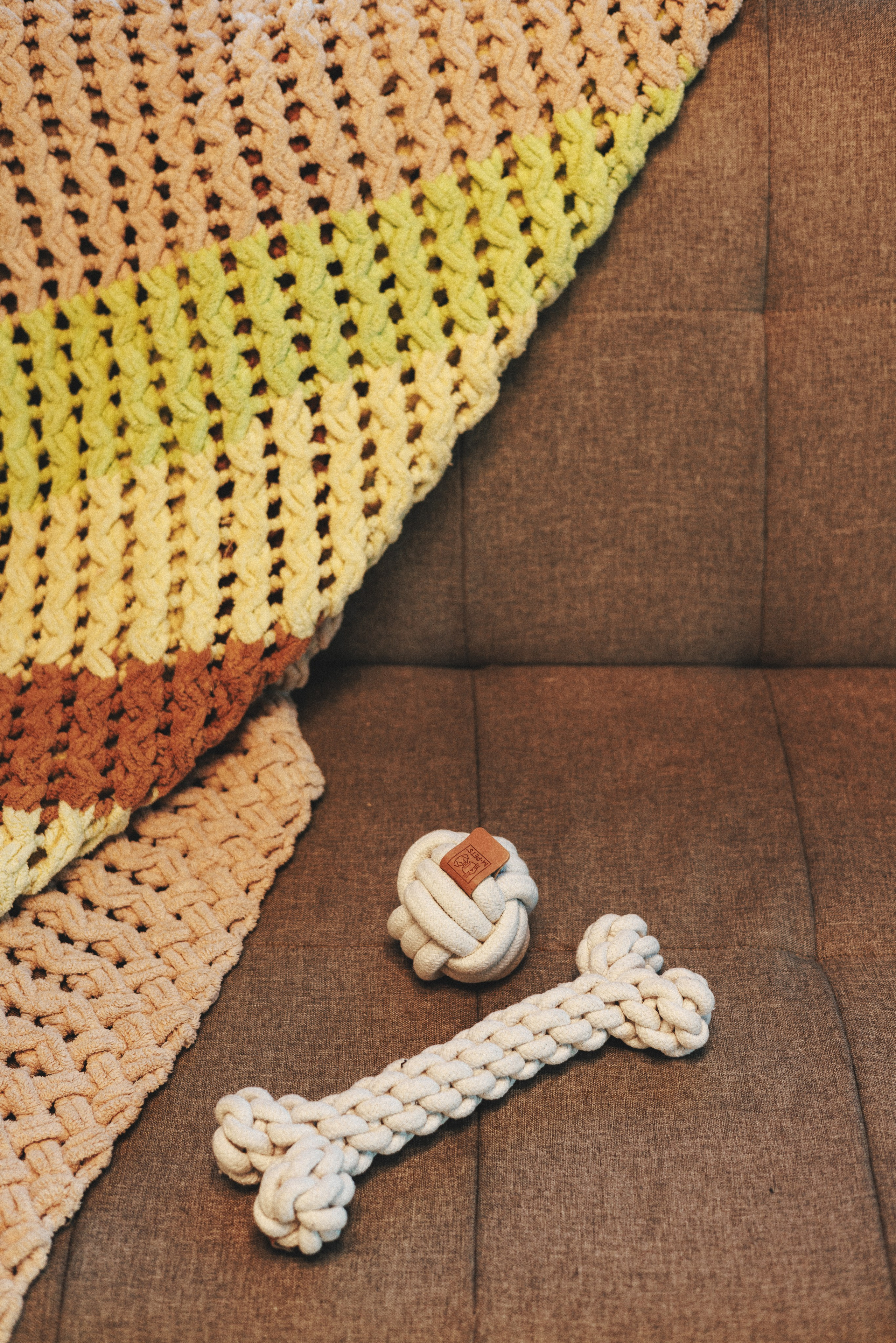 M-Pets. Фотограф анималист Осипчикова Мария