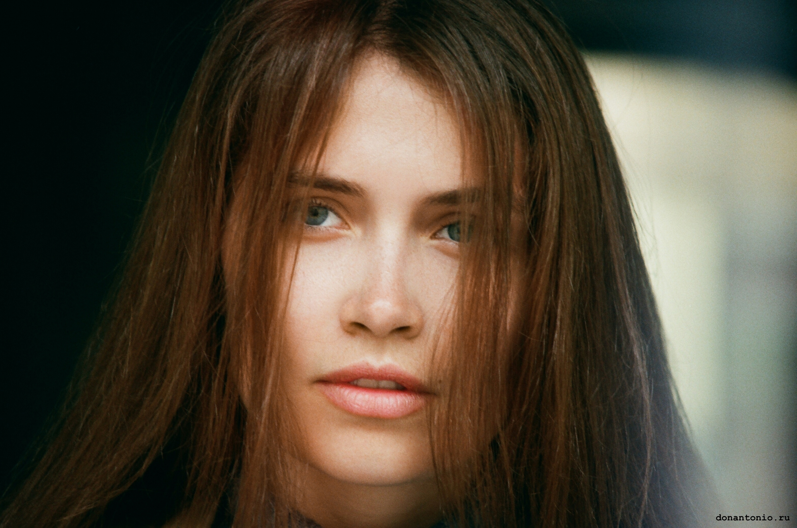 Портреты с Доном