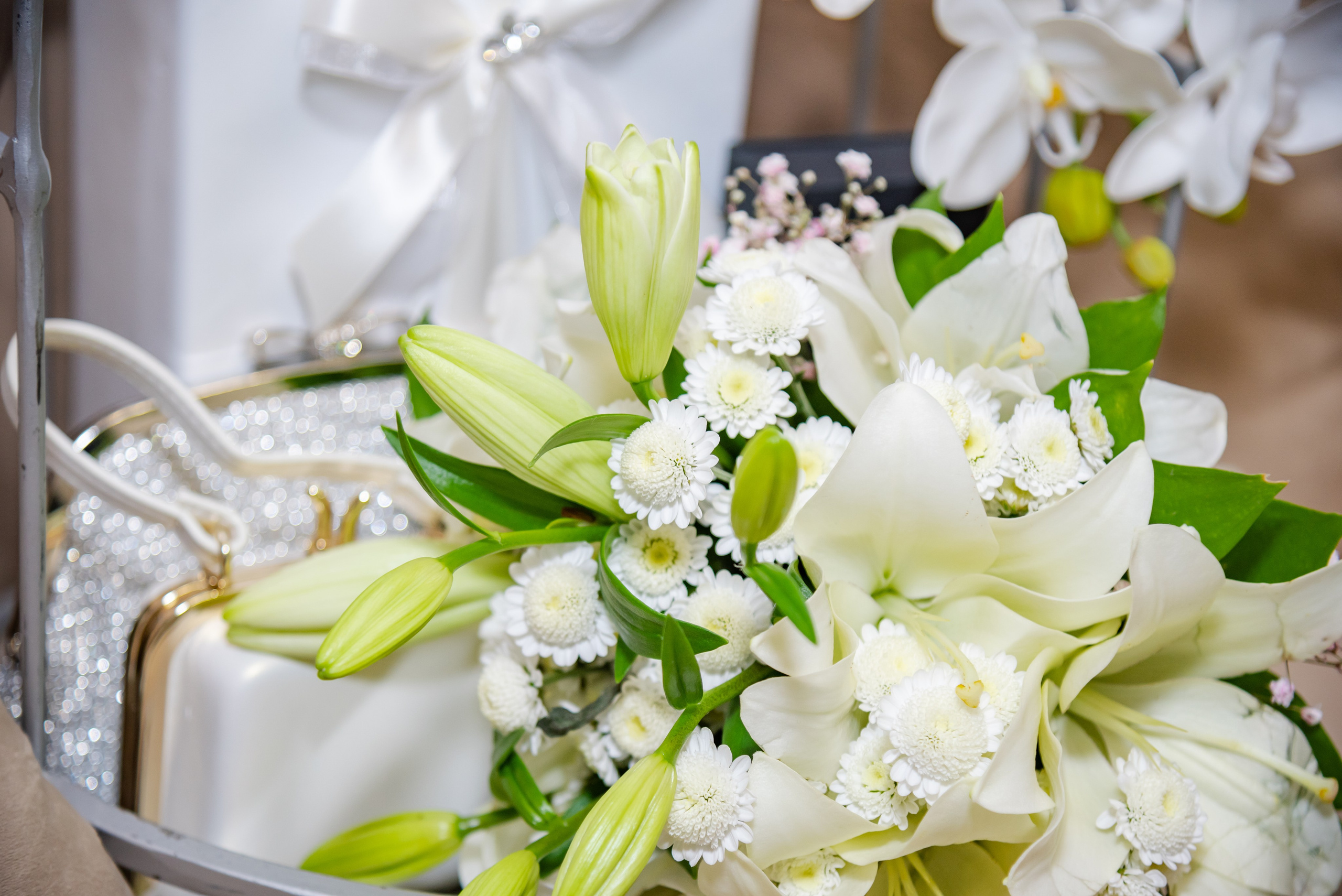 Эдгар и Элина. Фотограф Галина Нестерова