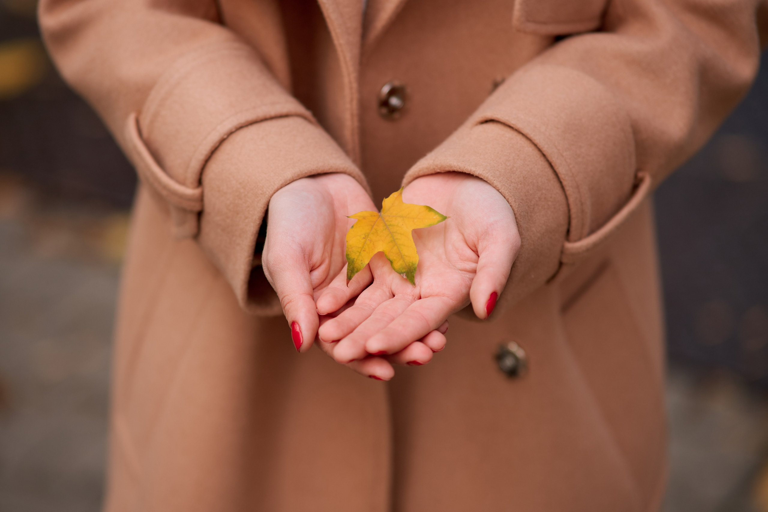 Осенняя прогулка мамы с сыном. Фотограф Таганрог Анна Трайжон