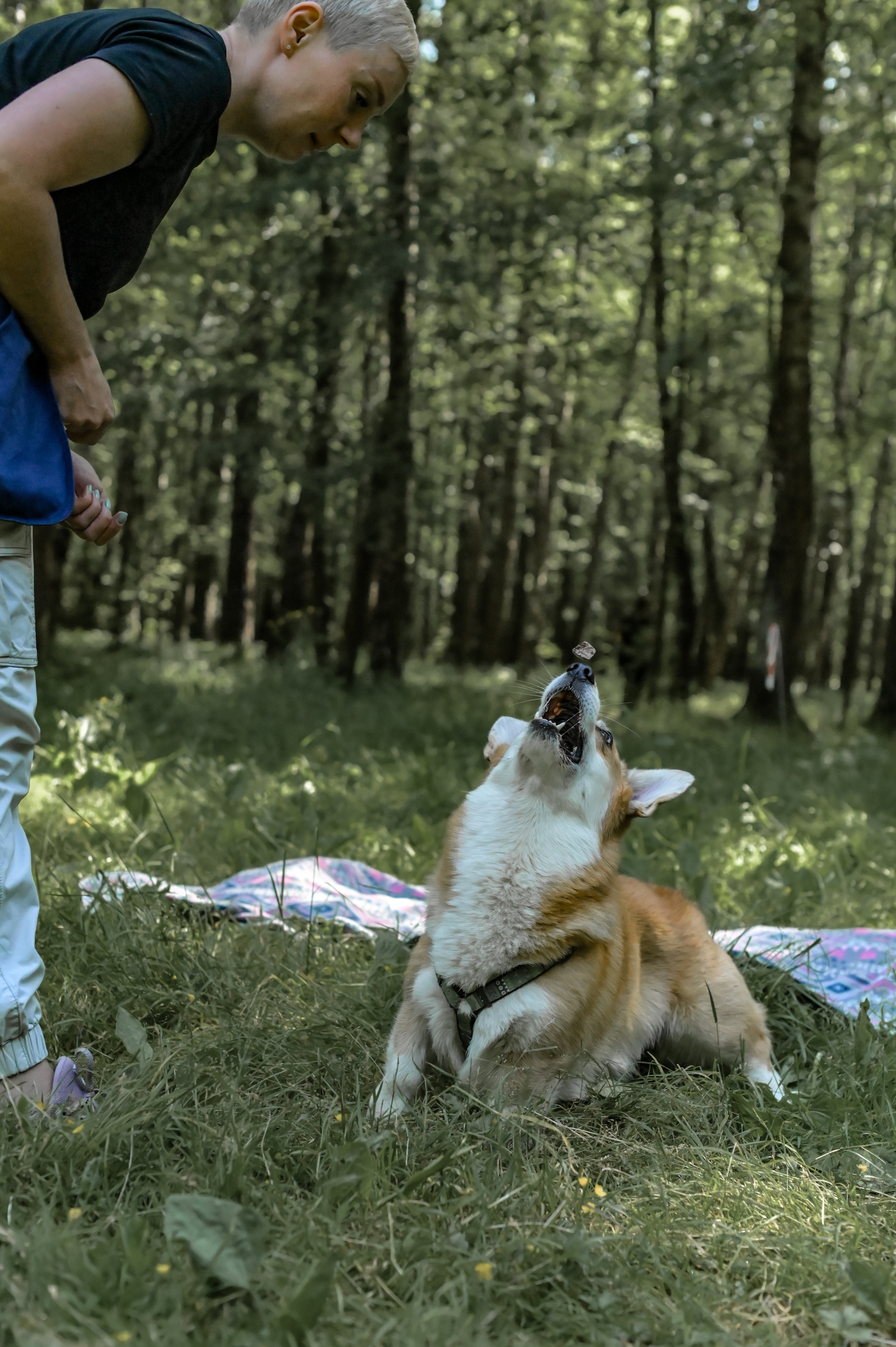 Кинологические соревнования. Семейный и репортажный фотограф в Москве Анастасия Трубкина