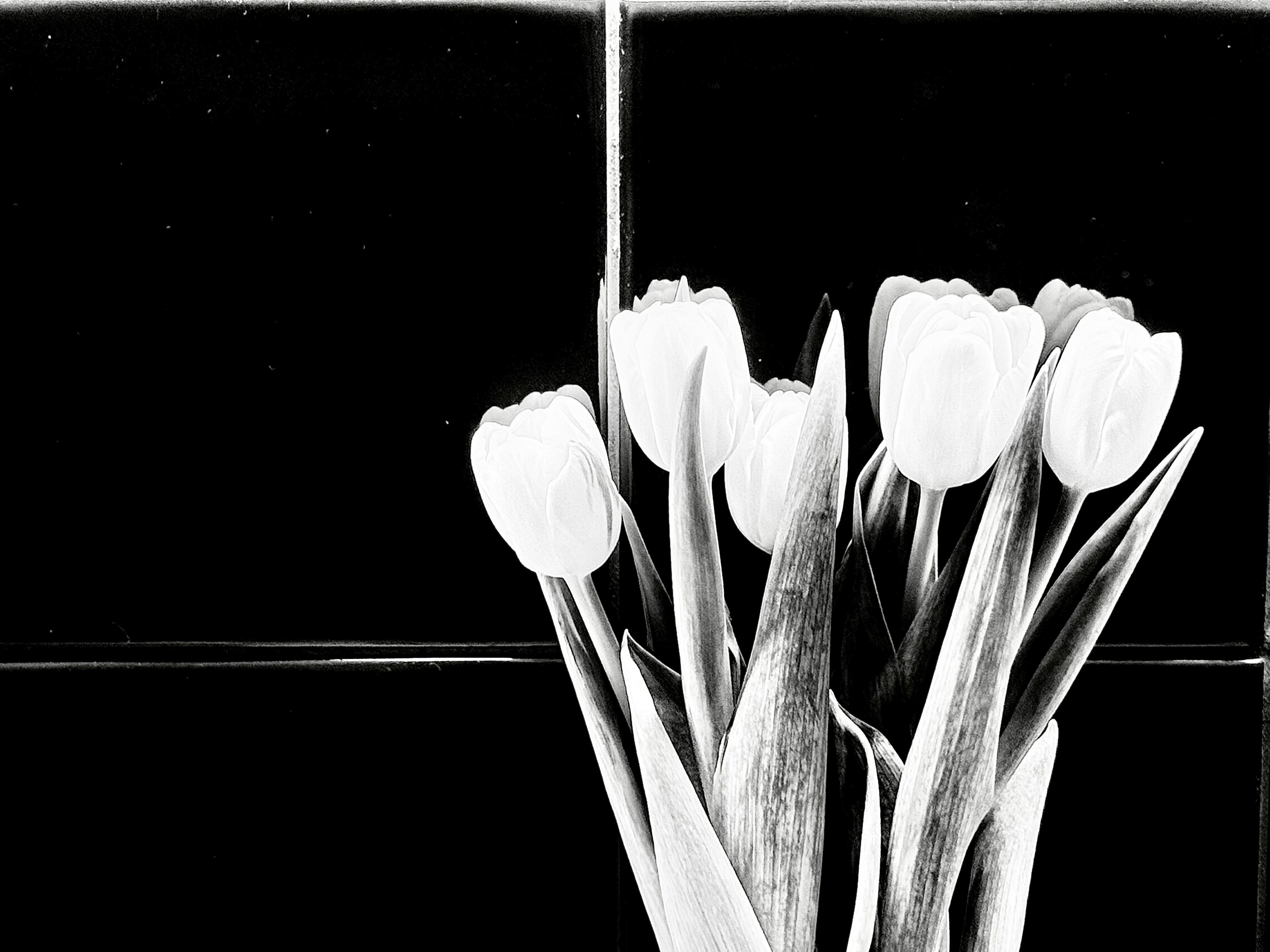 Фотохудожник Анна Забродина