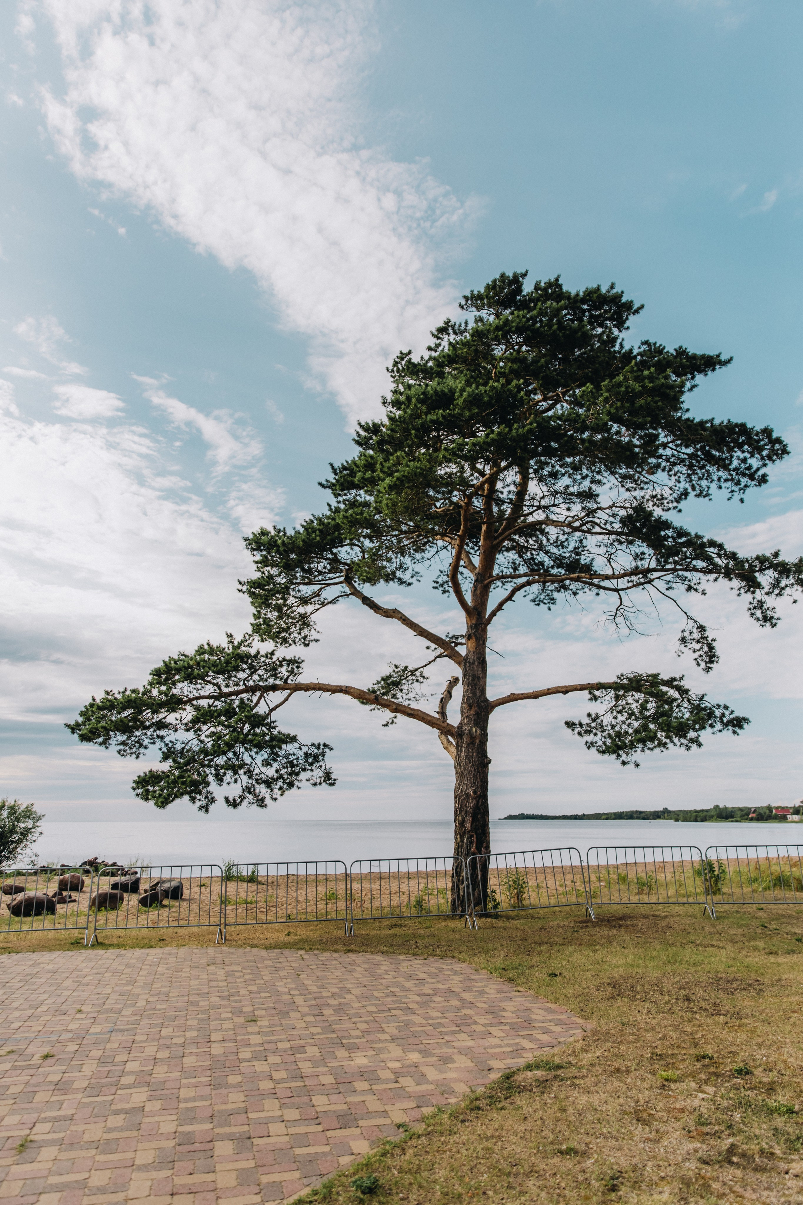 СЕМЕЙНАЯ / Гриша, Люда и Апполинария. Фотограф Лодейное Поле Екатерина Герасимова в Санкт-Петербурге и Лен. области