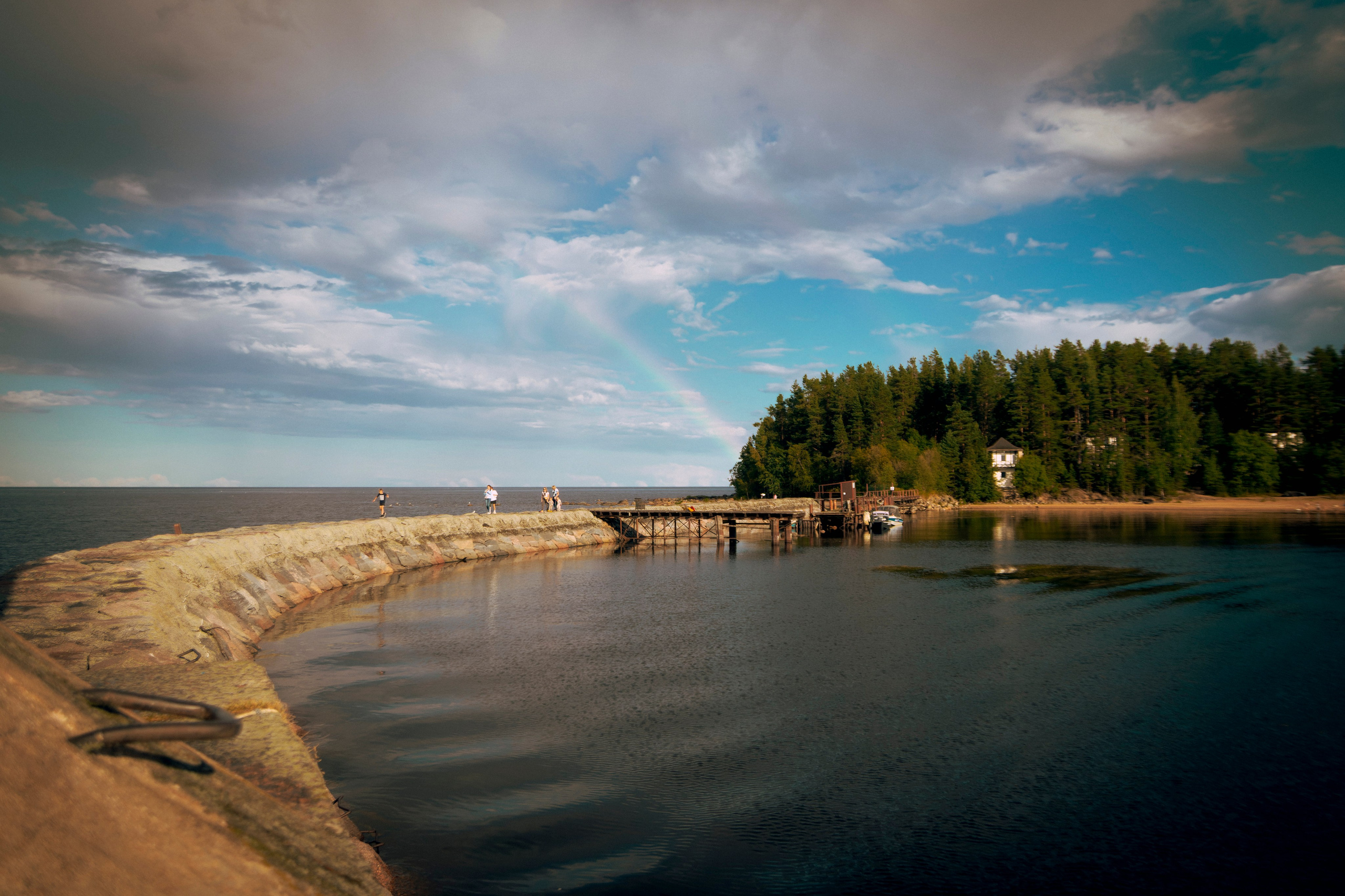 Из наблюдений. Плак или Квак