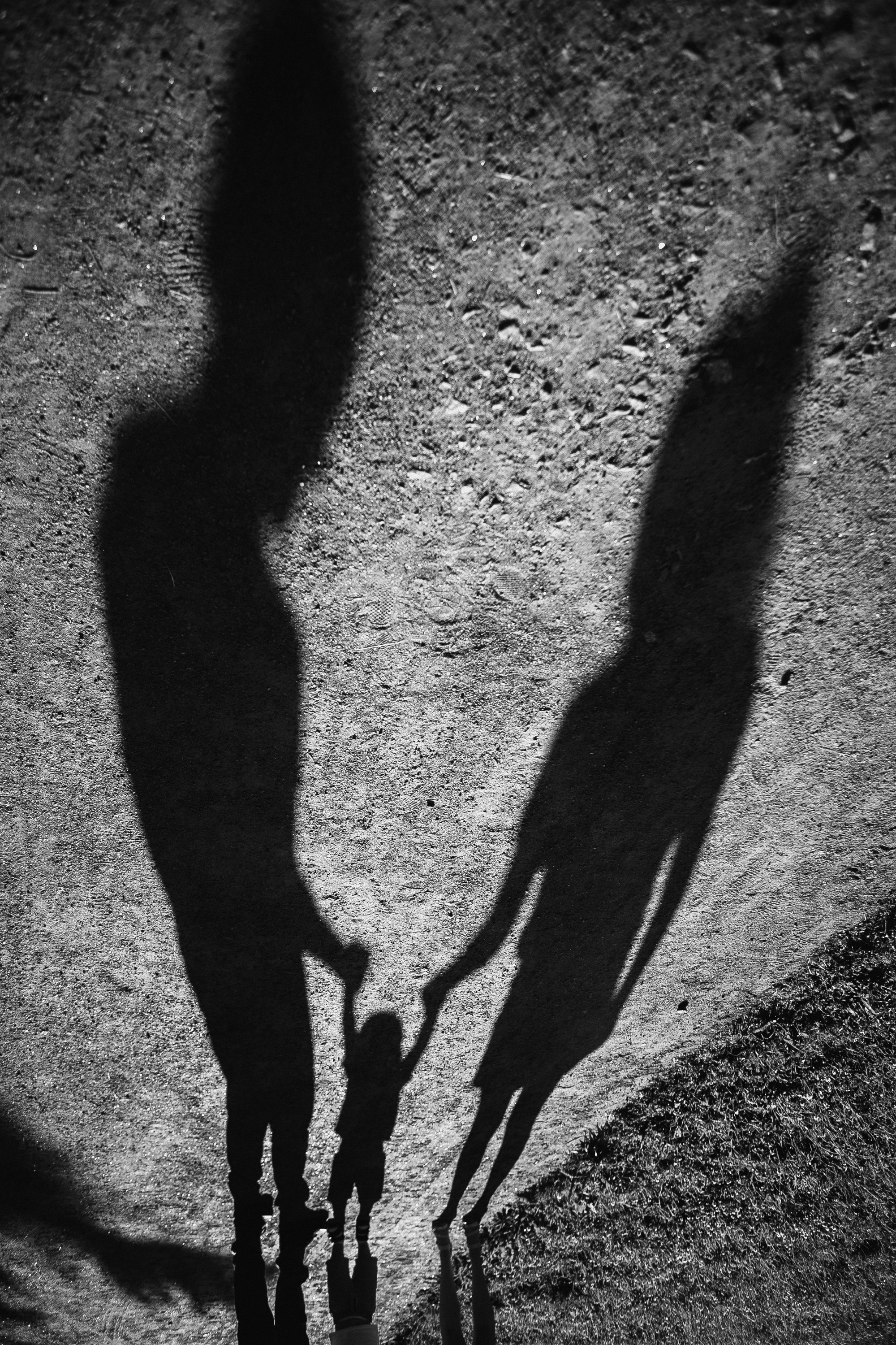 семейный фотограф, семейная фотосессия москва, семейная фотосессия питер, семейная фотосессия спб