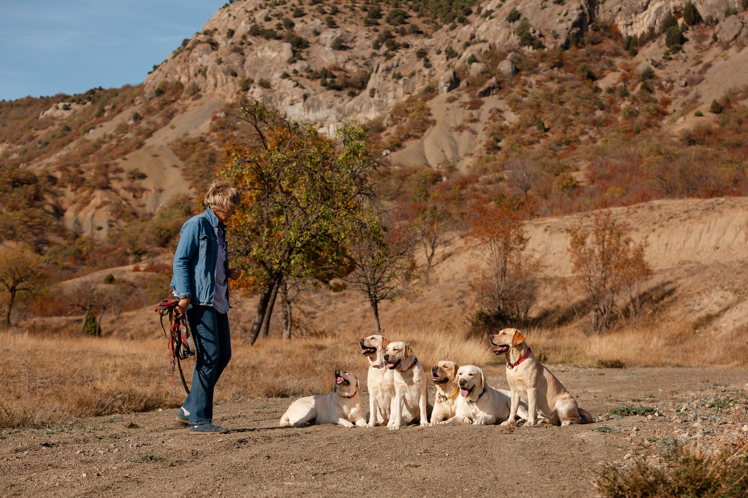 Лабрадоры и горы. Фотограф-анималист в Краснодаре Маша Мельникова
