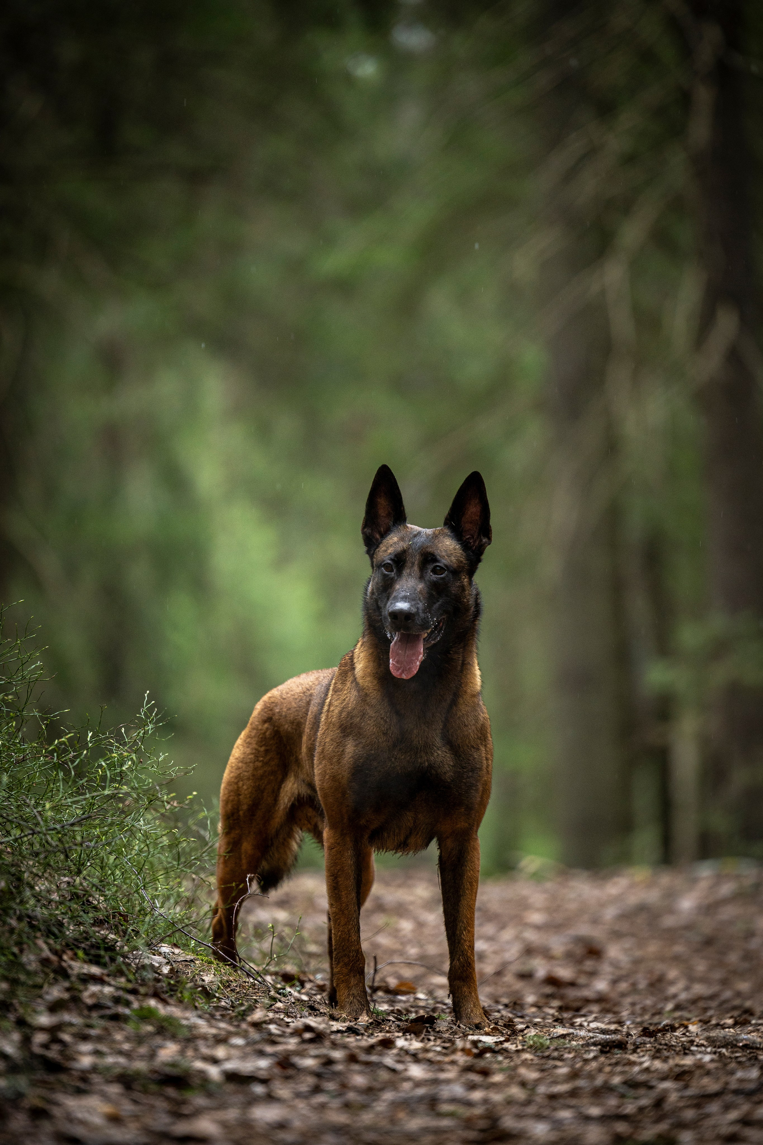 Миура. Фотограф-анималист Анна Маринич