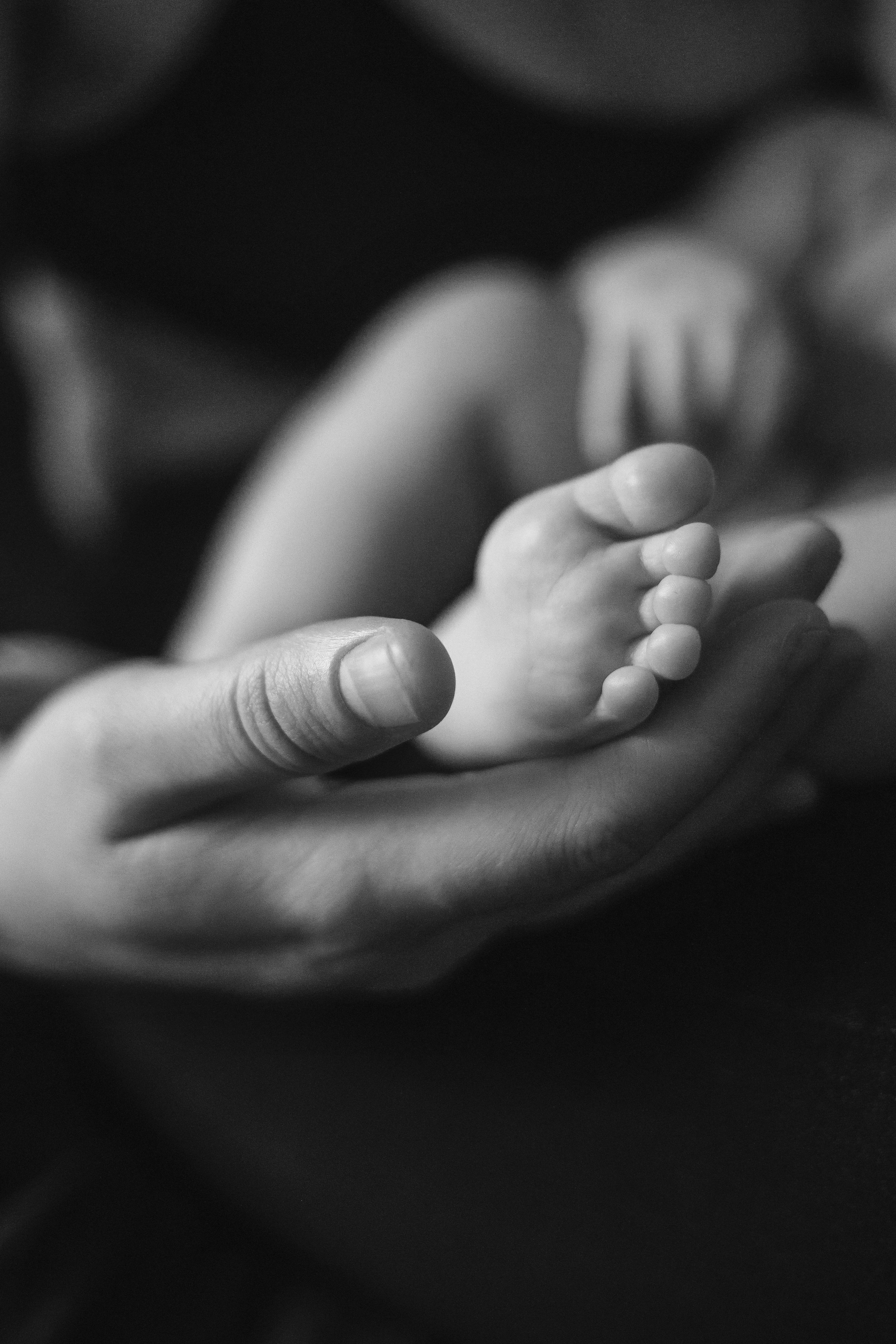 Домашняя фотосессия. Фотограф Нижний Новгород