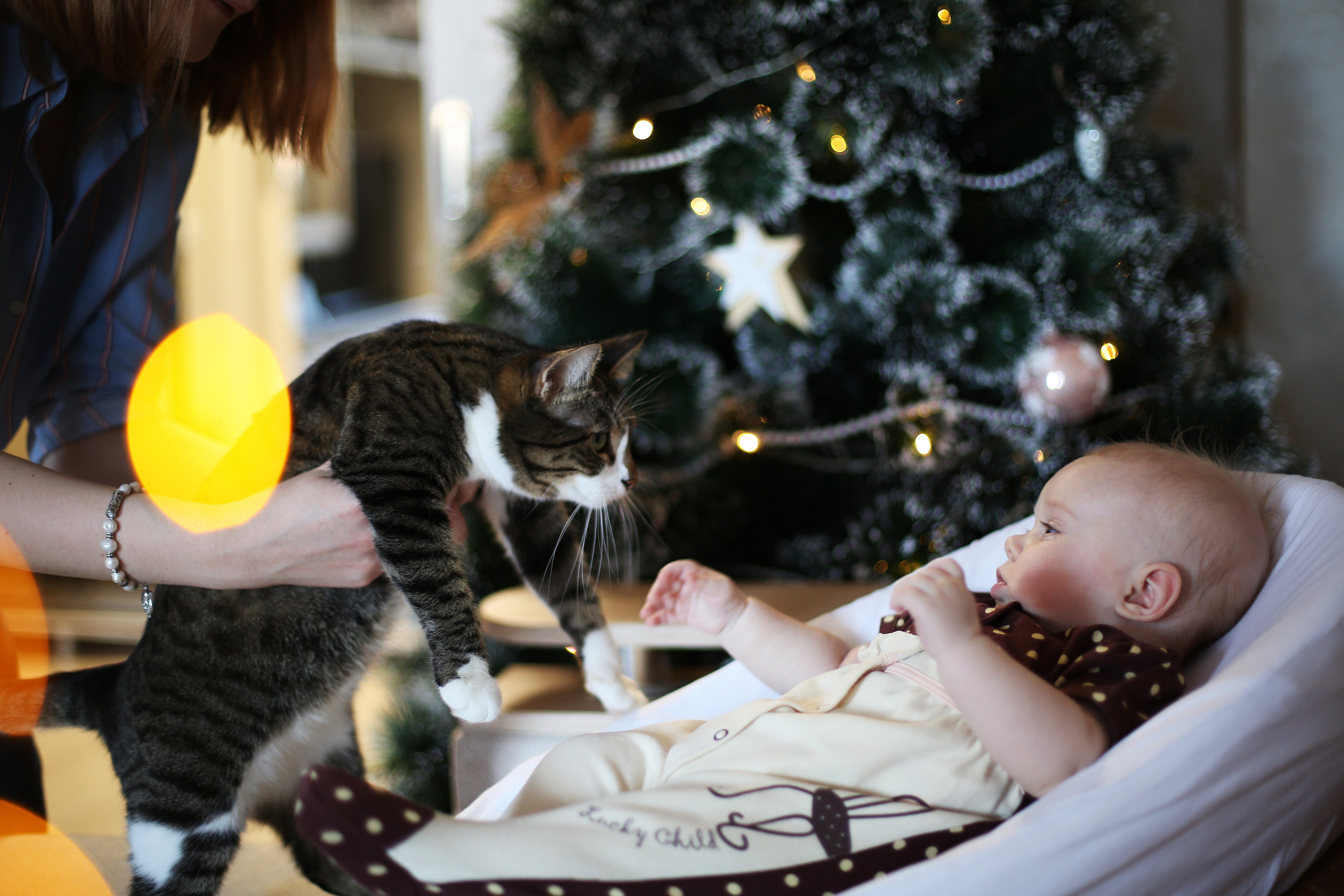 Общение между кошкой и малышкой Лизой.