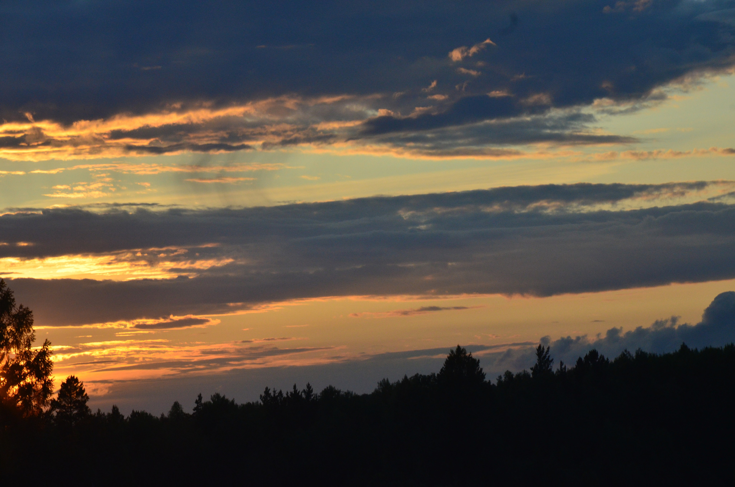 Дары природы. Фотограф viktor viktor