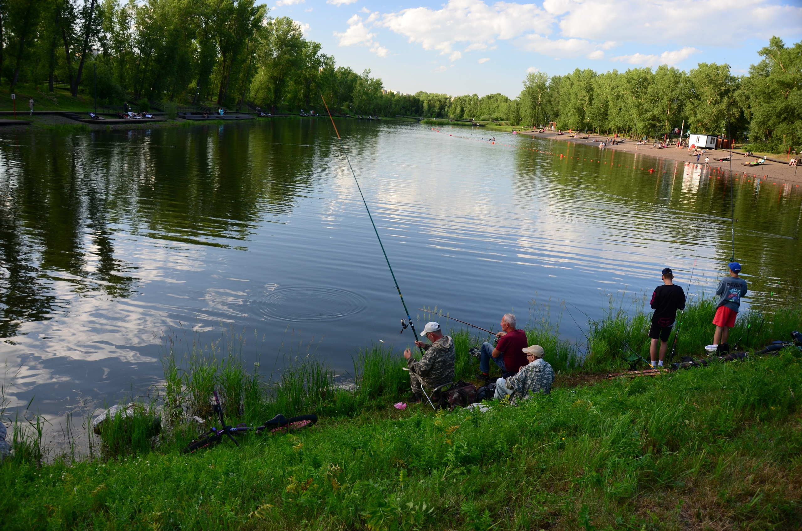 Дары природы. Фотограф viktor viktor