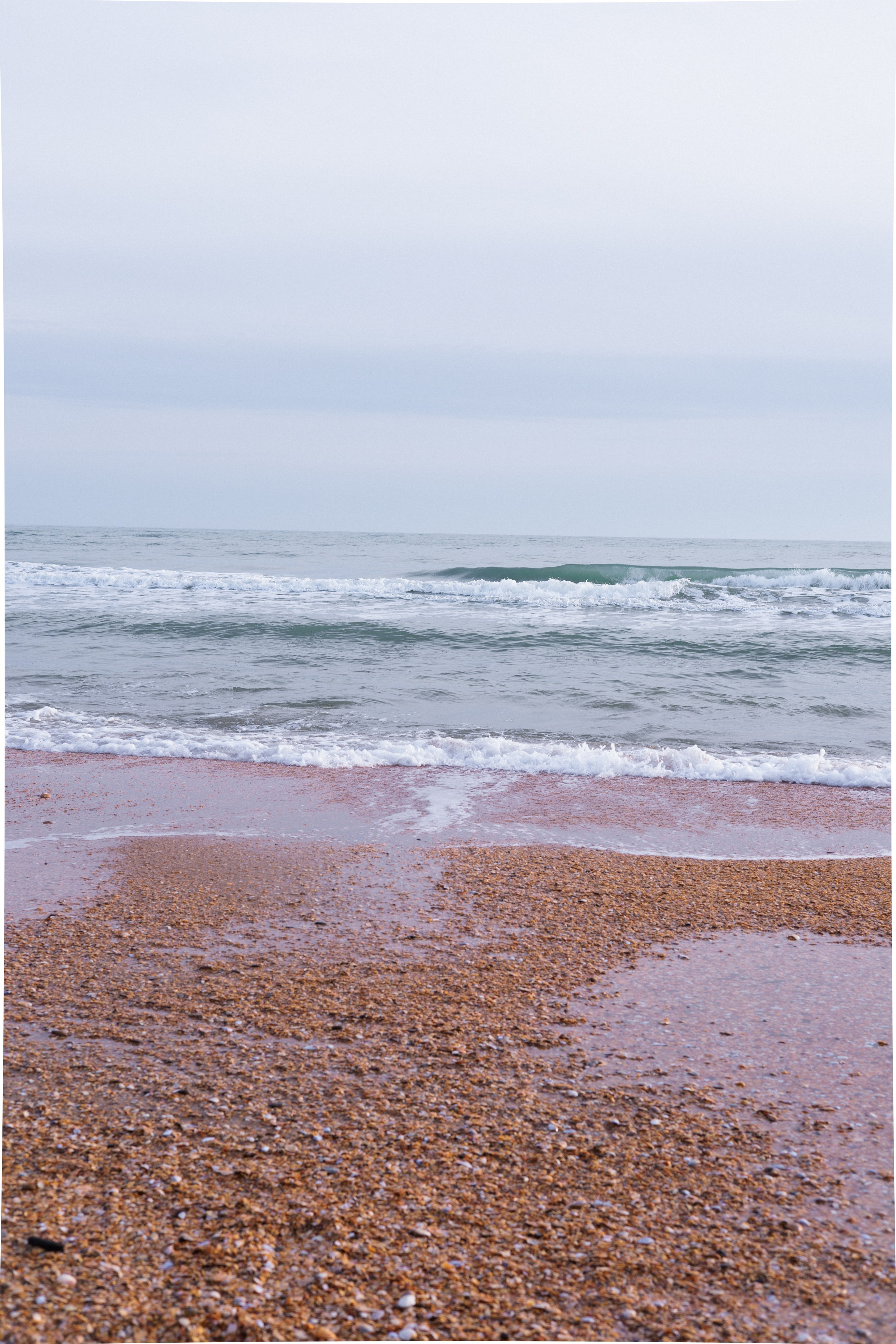 Злата. Gorbunova Alina Фотограф