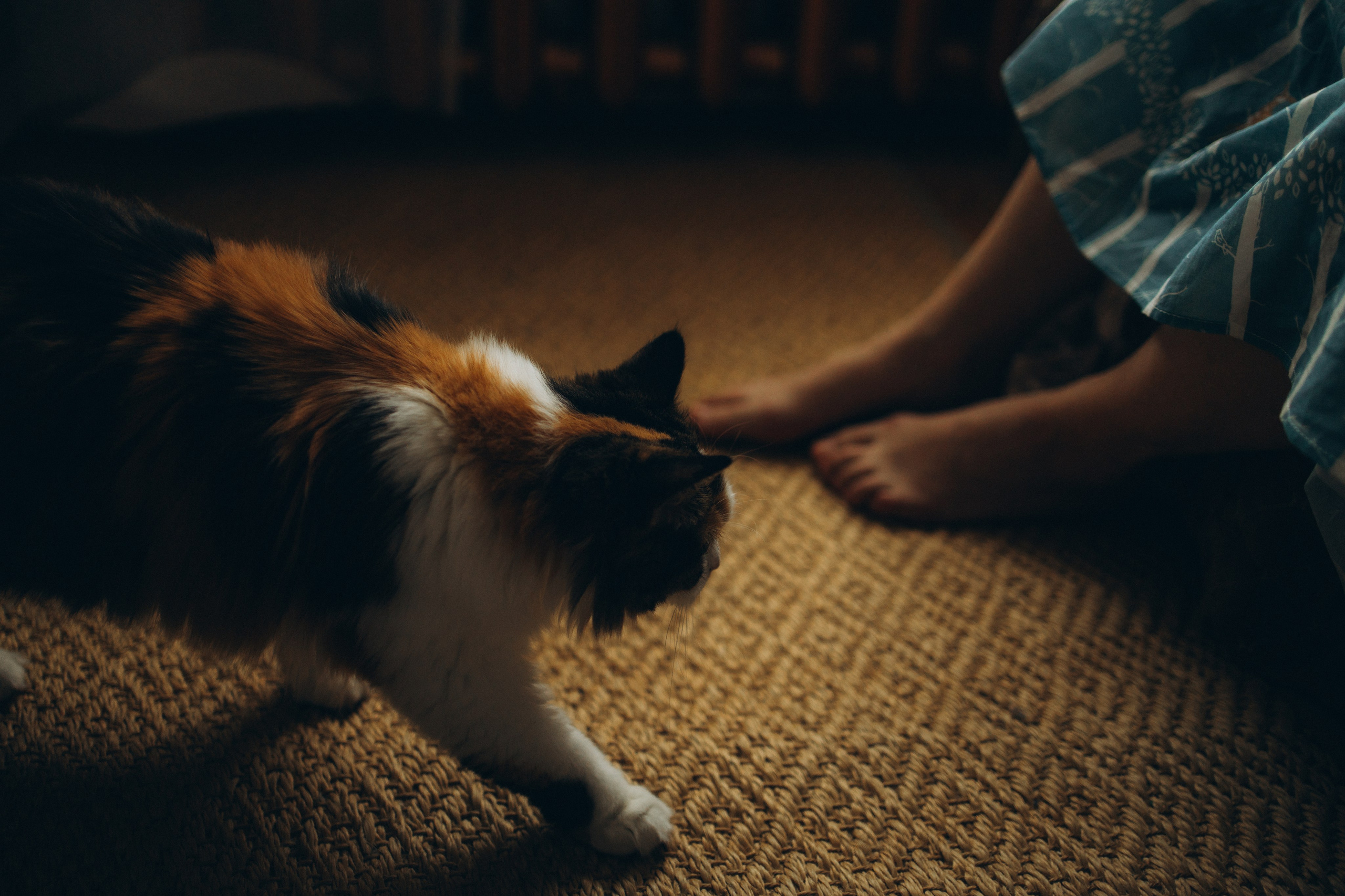 Уют. Фотограф Анастасия Бобылева, Москва и Московская область