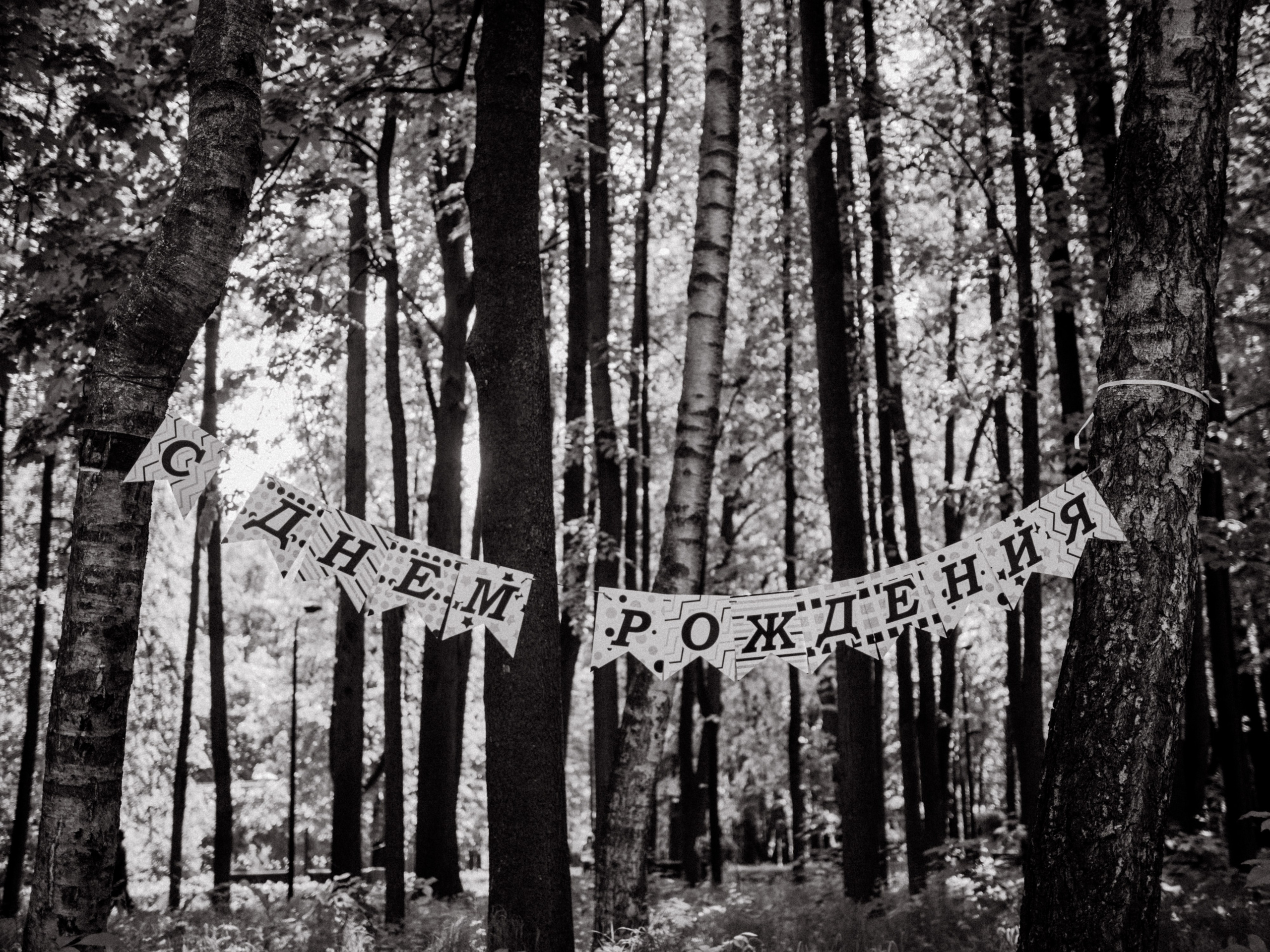 Родиону 4 года